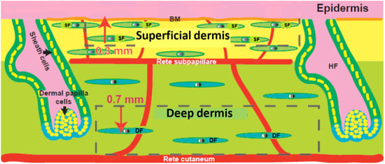 Jfb 06 00547 g001 550