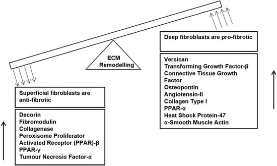 Jfb 06 00547 g002 550
