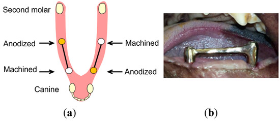 Jfb 06 00623 g005 550