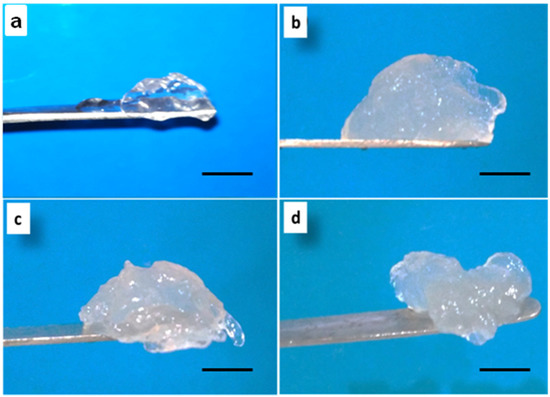 Jfb 06 00849 g001 550