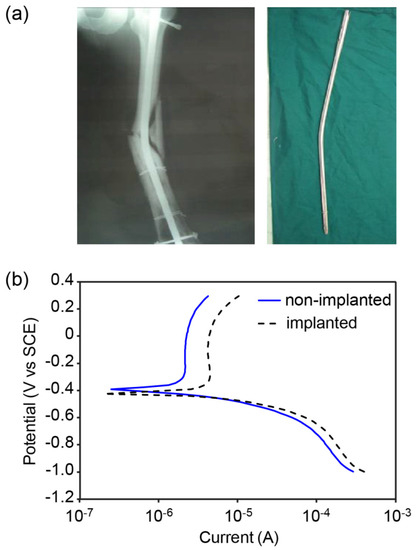 Jfb 06 01012 g001 550