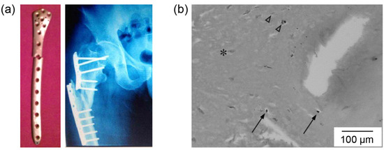 Jfb 06 01012 g003 550