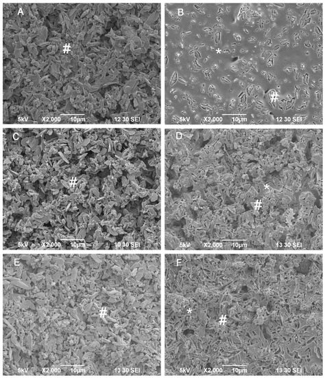 Jfb 06 01036 g002 550