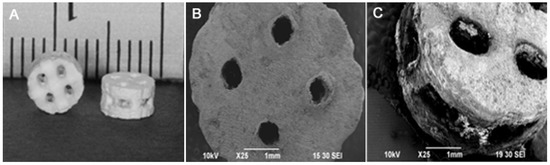 Jfb 06 01036 g005 550