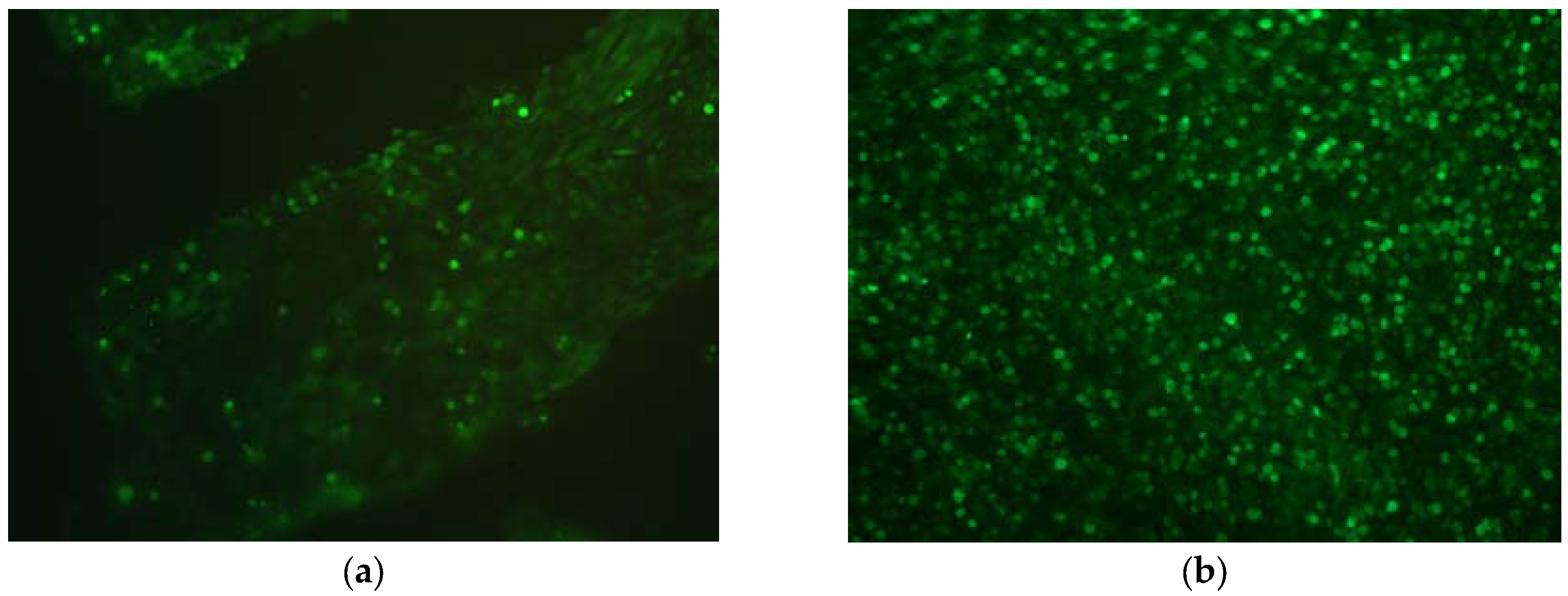 Jfb 08 00043 g008 Jfb 08 00043 g008