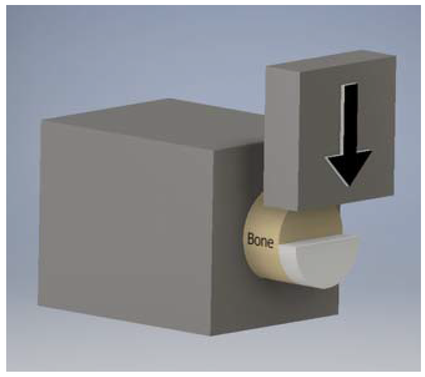 Jfb 08 00043 g009 Jfb 08 00043 g009