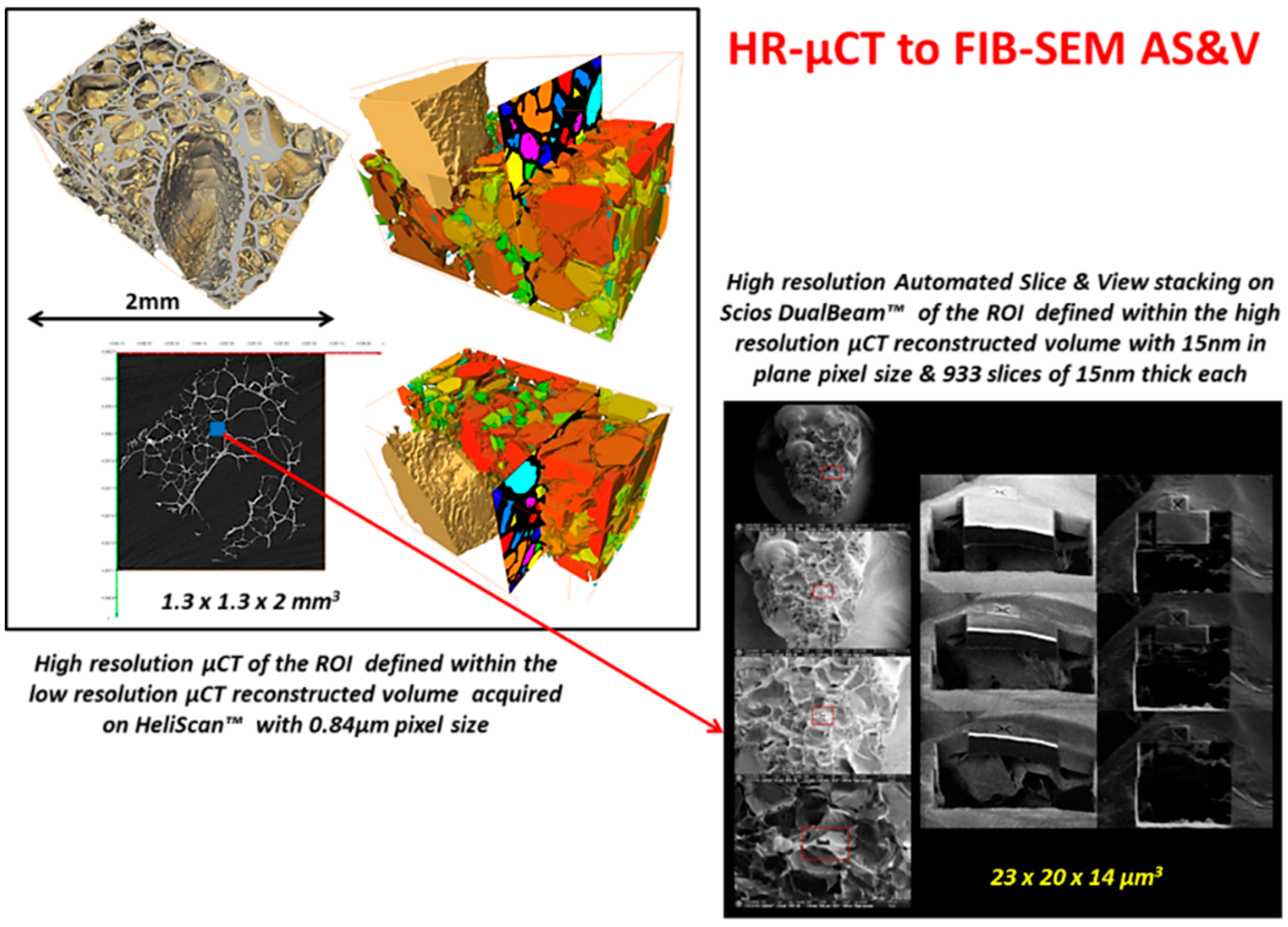 Jfb 09 00051 g004 Jfb 09 00051 g004