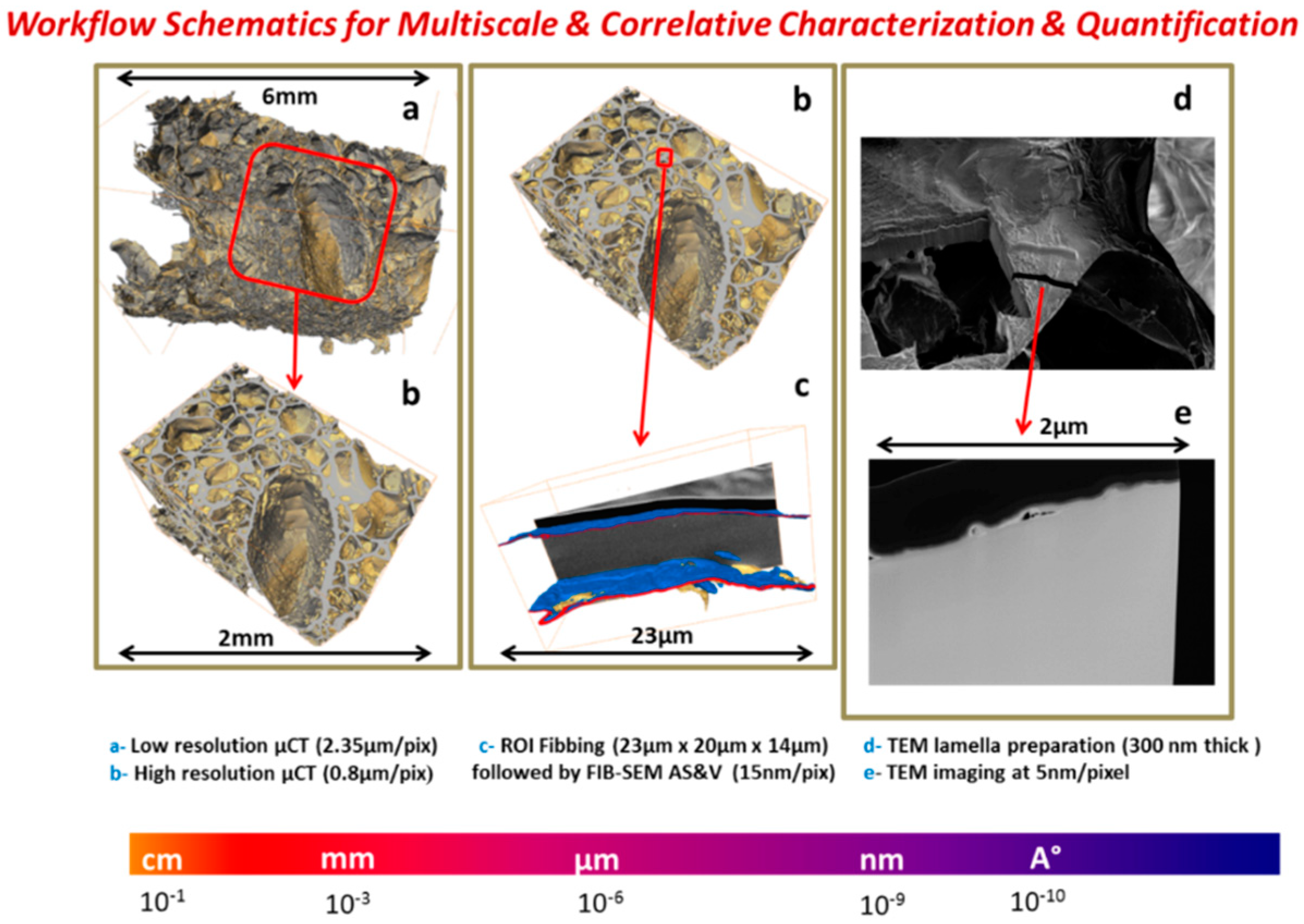 Jfb 09 00051 g008 Jfb 09 00051 g008