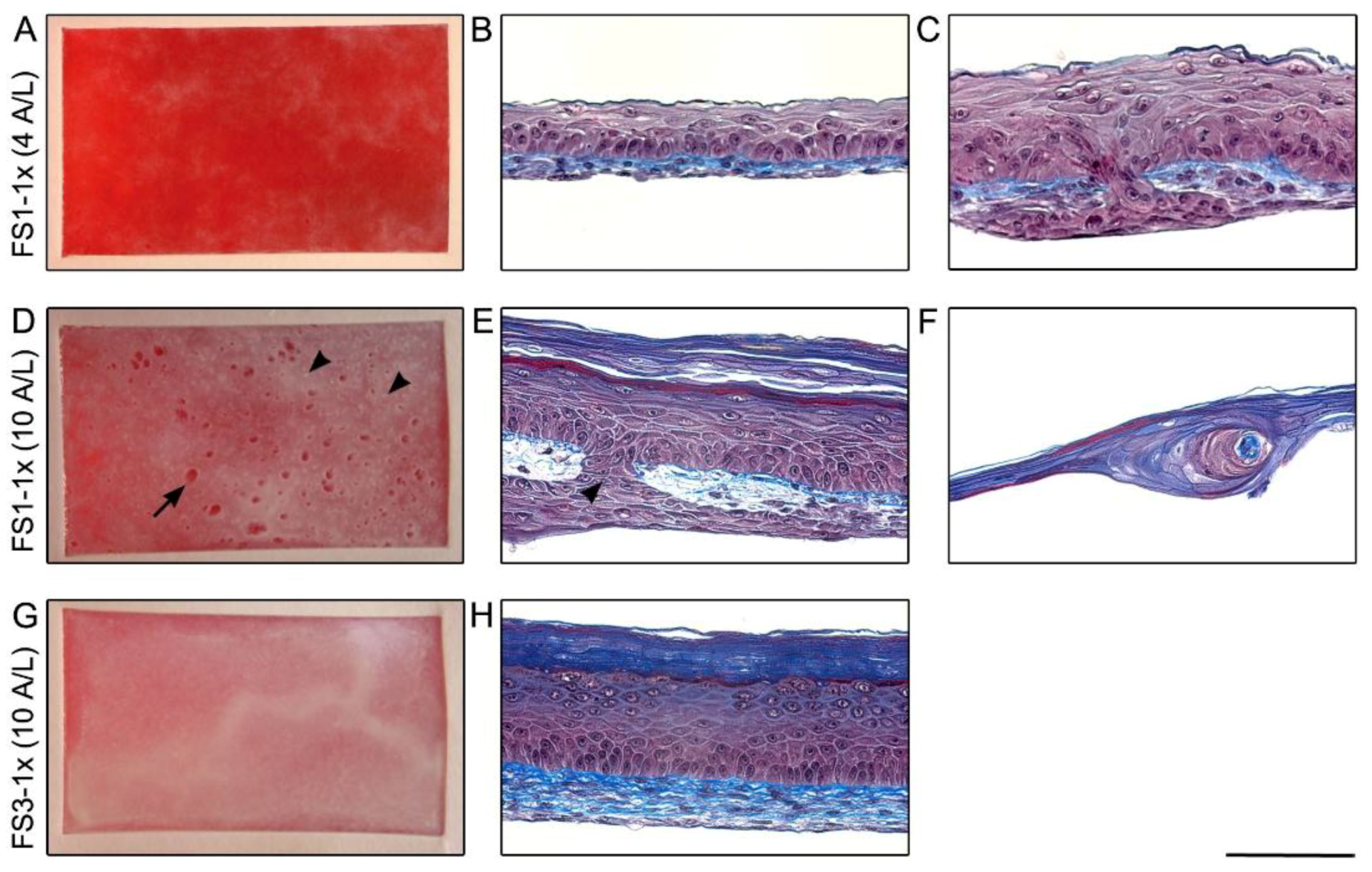 Jfb 09 00053 g001 Jfb 09 00053 g001