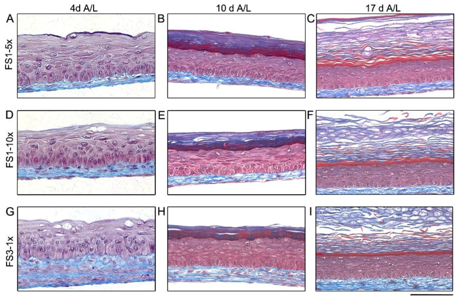 Jfb 09 00053 g004 Jfb 09 00053 g004