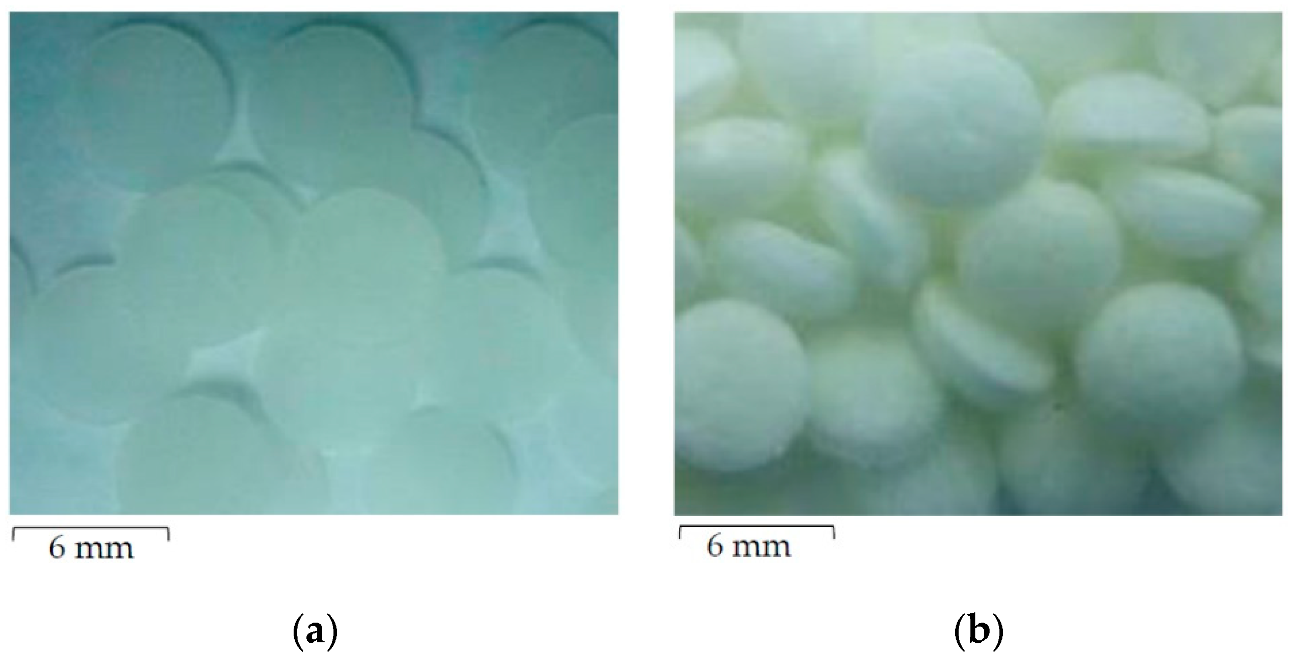Jfb 10 00052 g001 Jfb 10 00052 g001