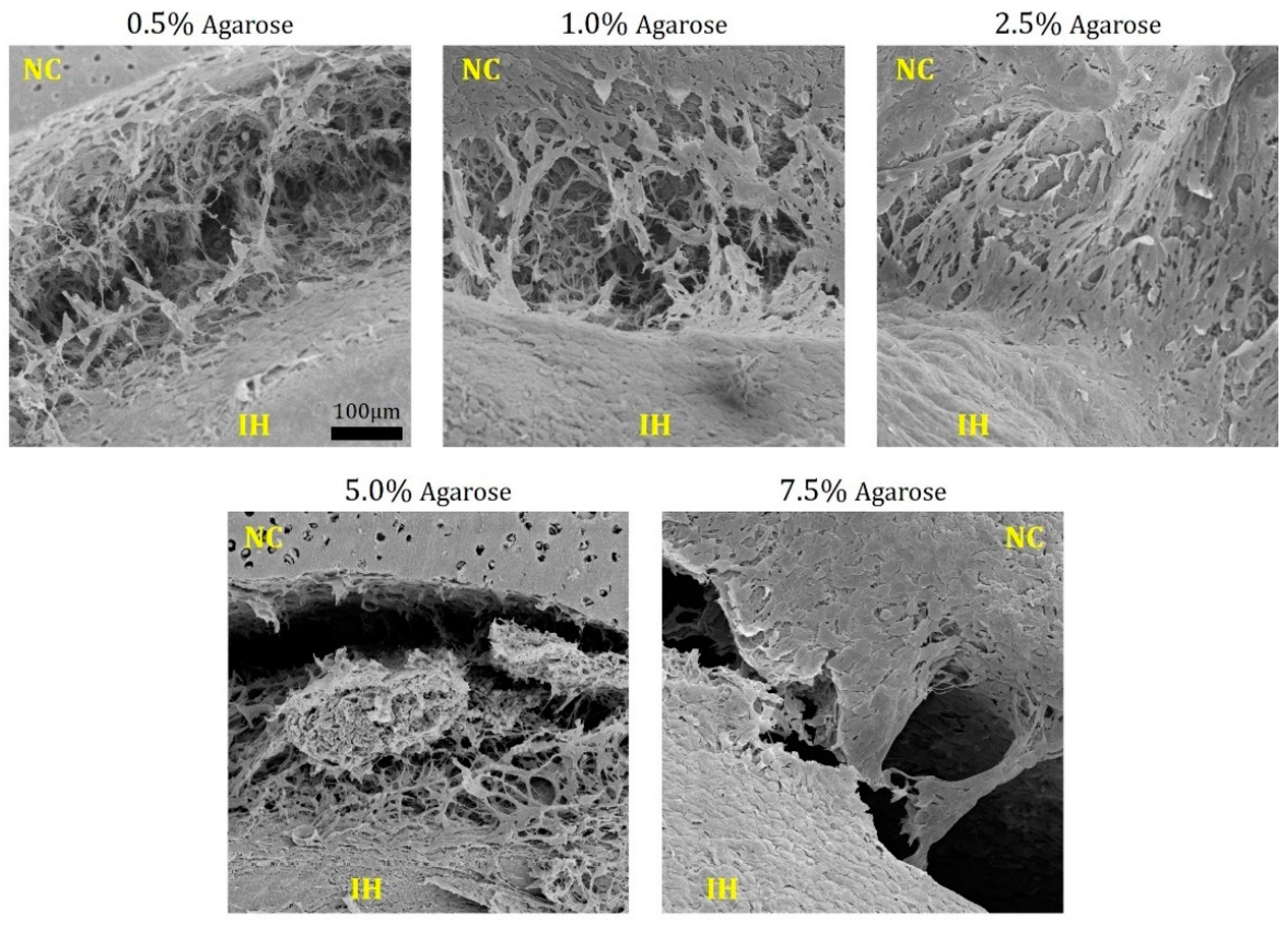 Jfb 11 00005 g003 Jfb 11 00005 g003