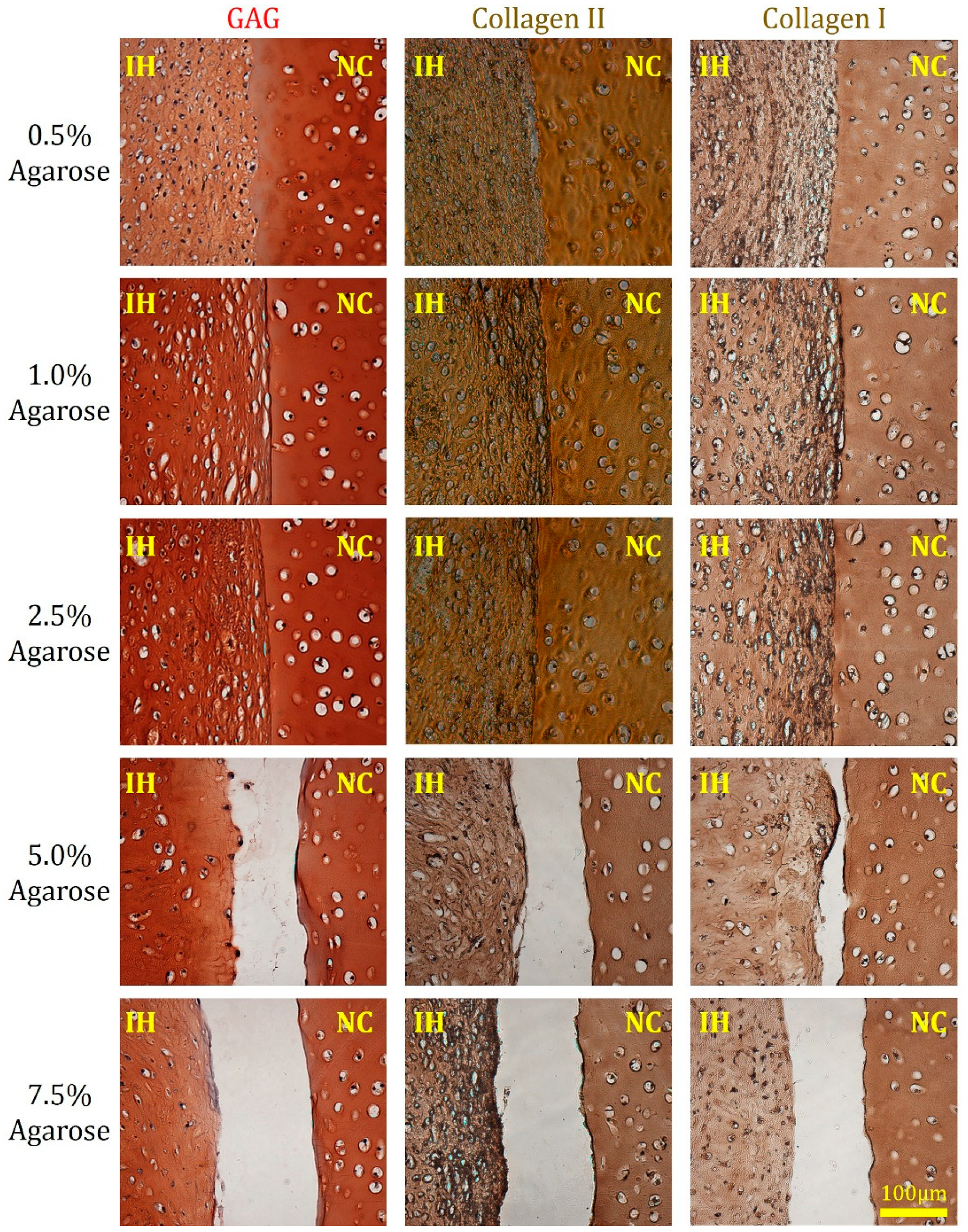 Jfb 11 00005 g004 Jfb 11 00005 g004