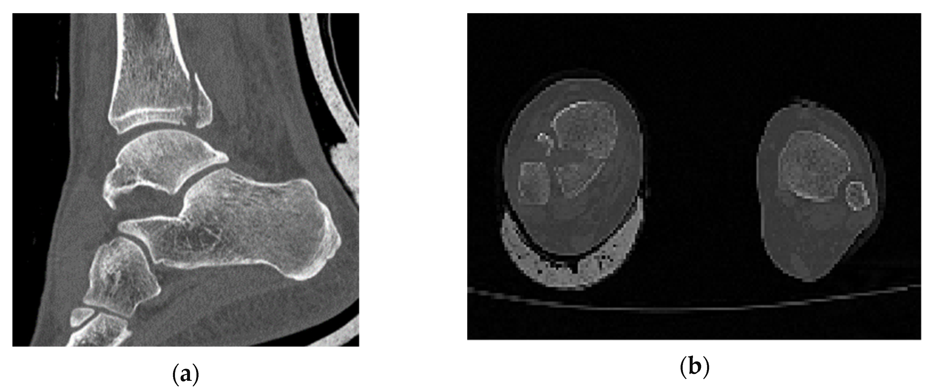 Jfb 11 00014 g001 Jfb 11 00014 g001