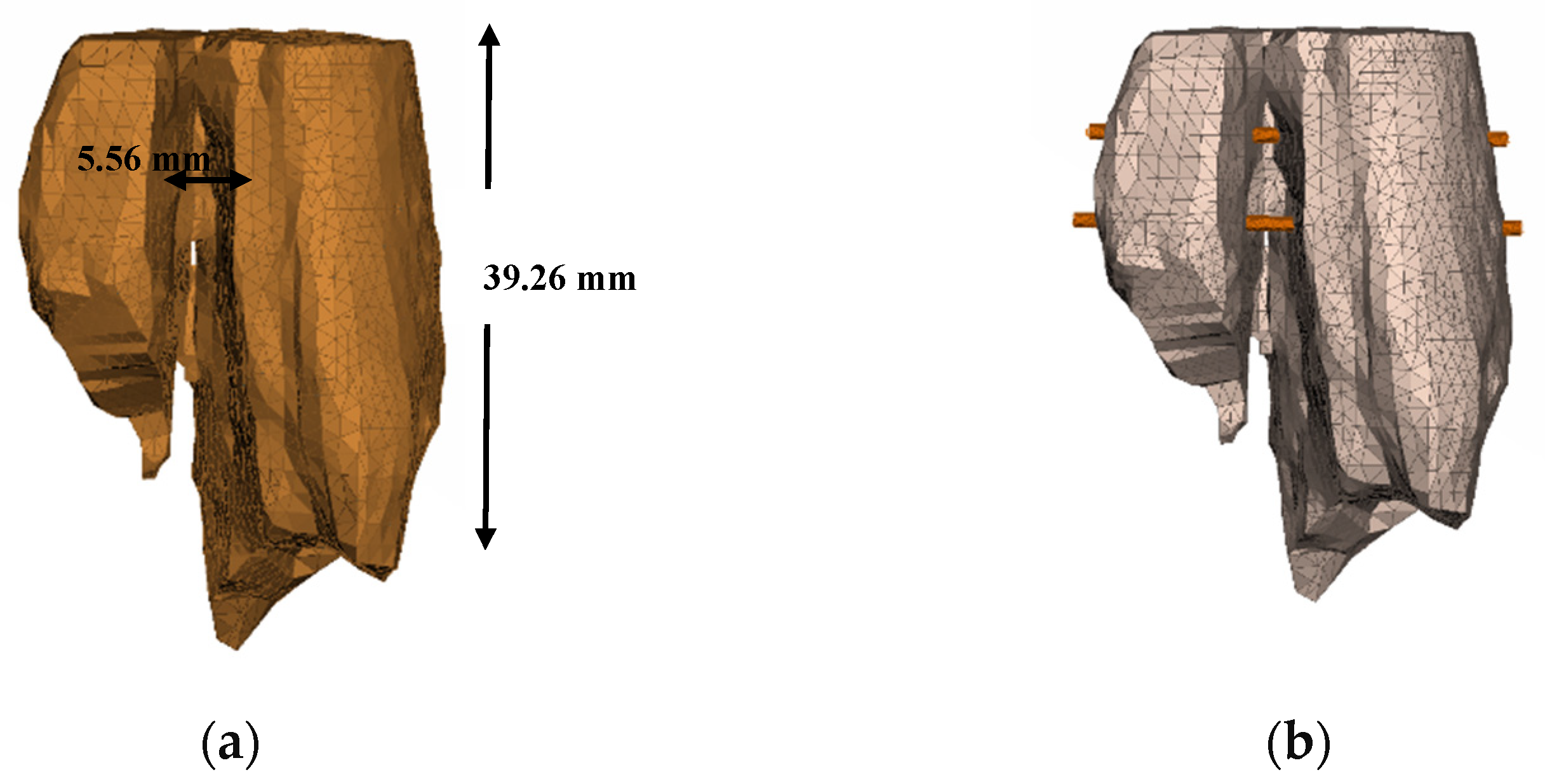 Jfb 11 00014 g004 Jfb 11 00014 g004