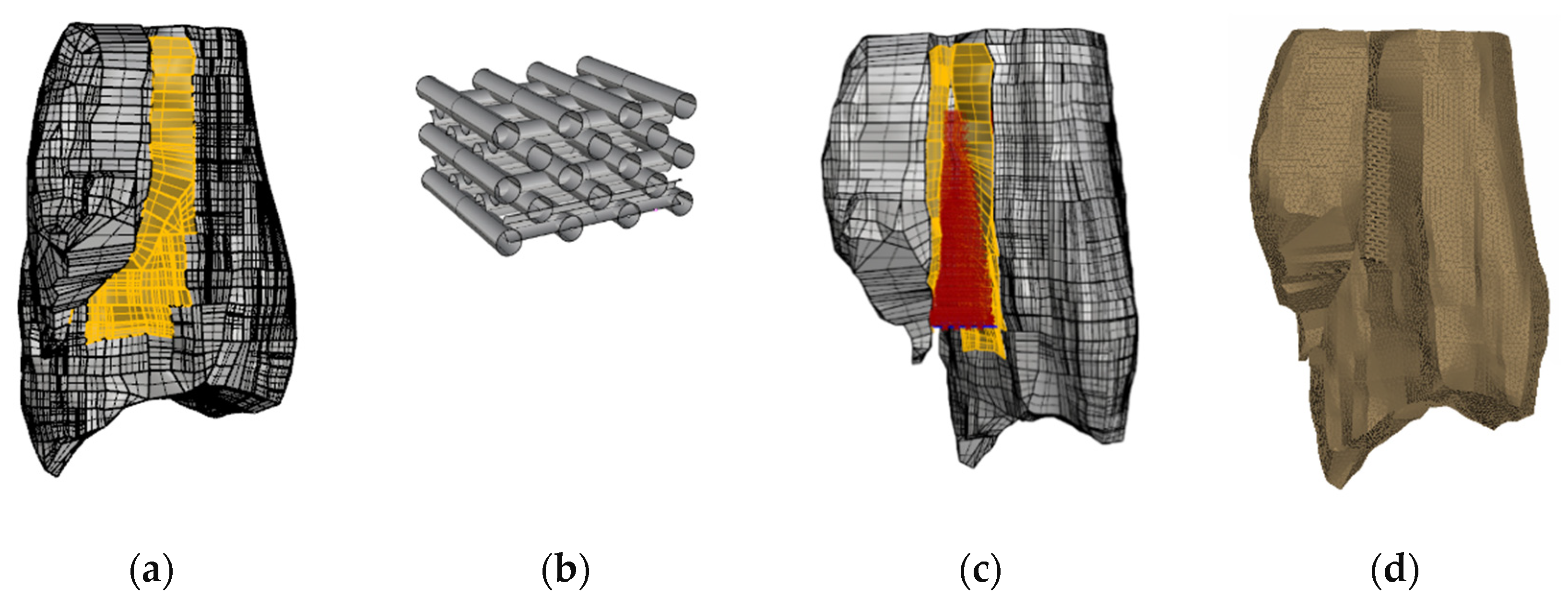 Jfb 11 00014 g005 Jfb 11 00014 g005