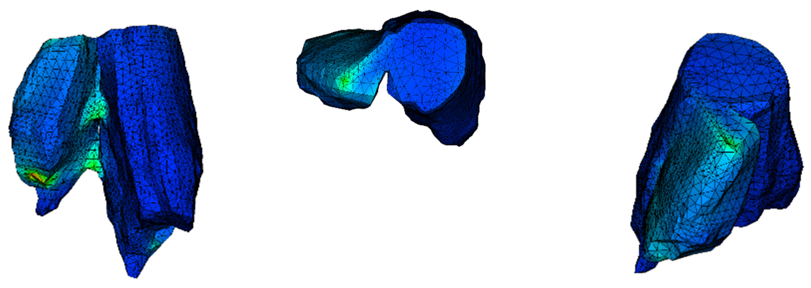 Jfb 11 00014 g006 Jfb 11 00014 g006