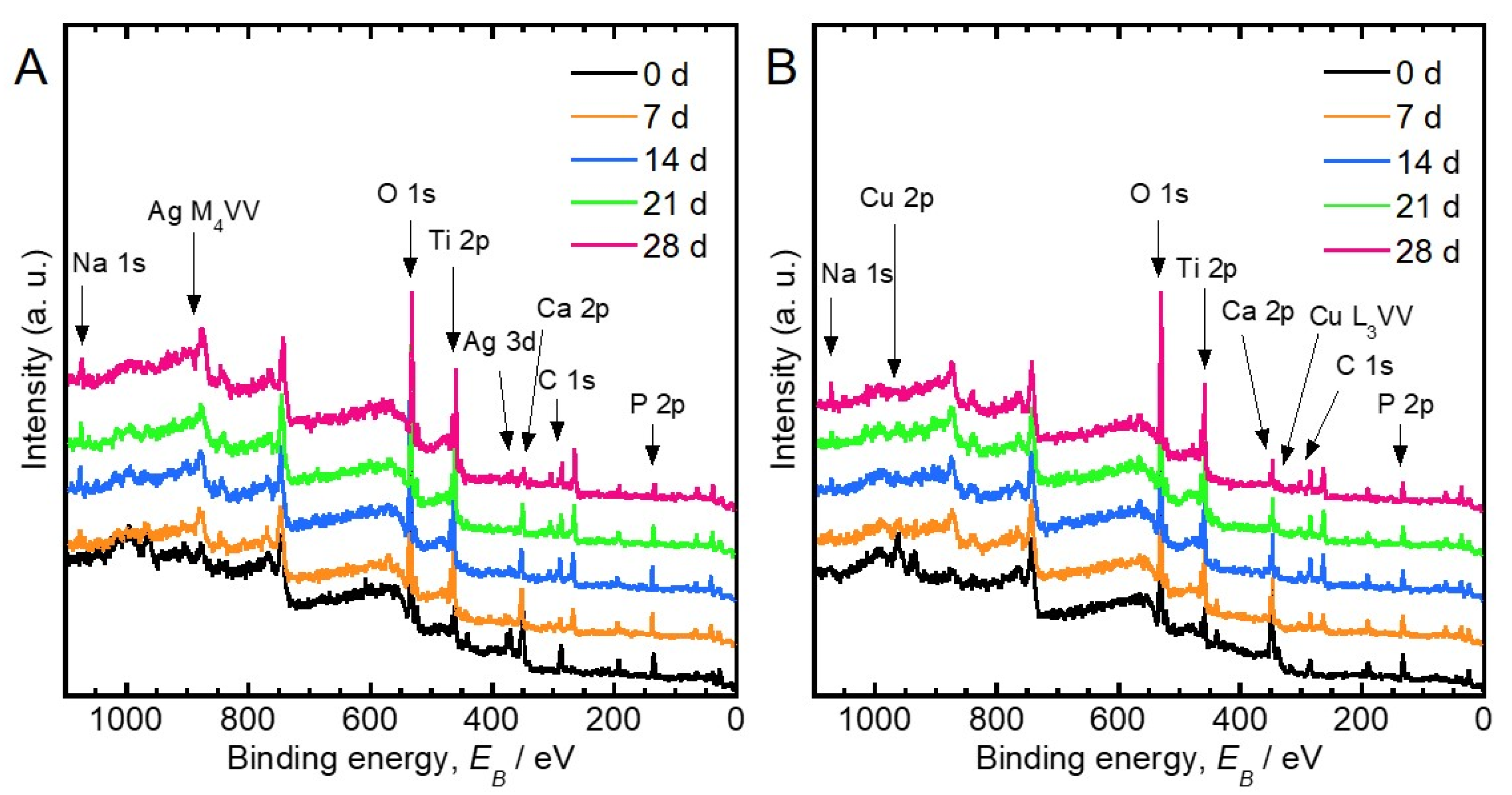 Jfb 11 00044 g003 Jfb 11 00044 g003