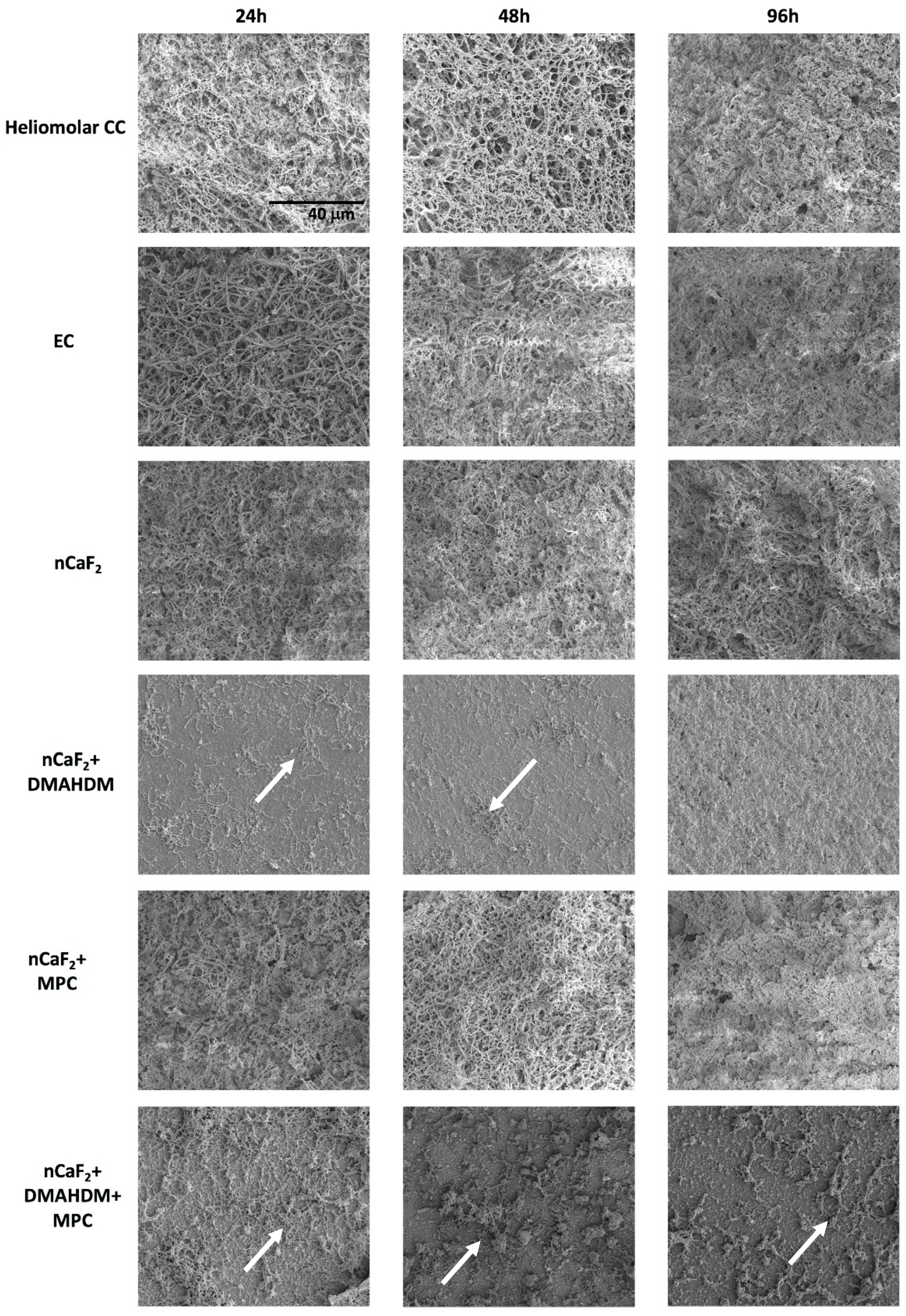 Jfb 11 00056 g007 Jfb 11 00056 g007