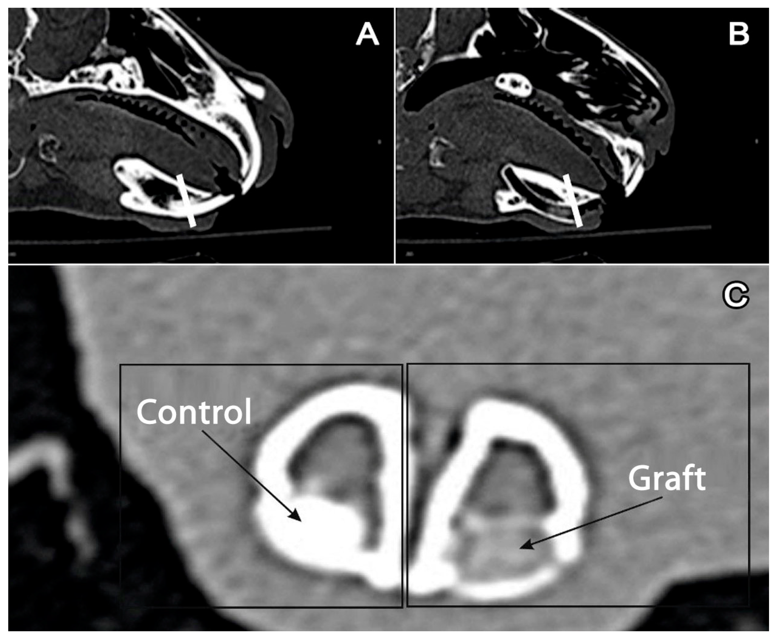 Jfb 11 00068 g001 Jfb 11 00068 g001
