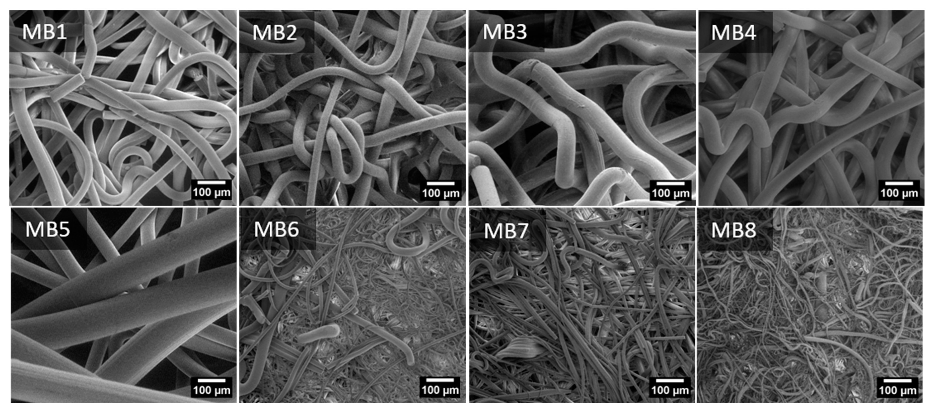 Jfb 12 00016 g002 Jfb 12 00016 g002