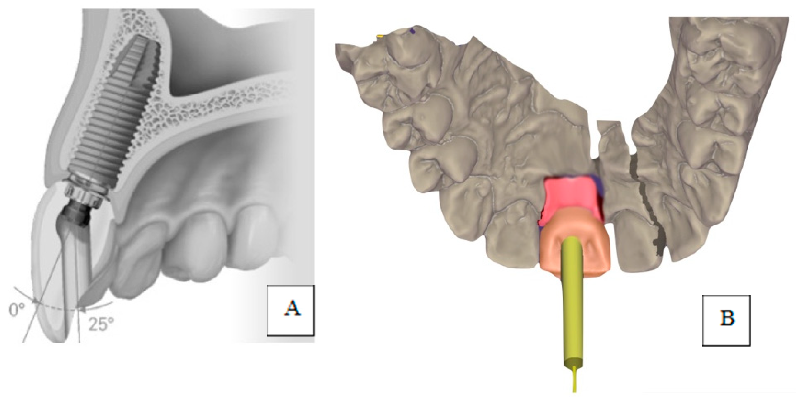 Jfb 12 00035 g001 Jfb 12 00035 g001