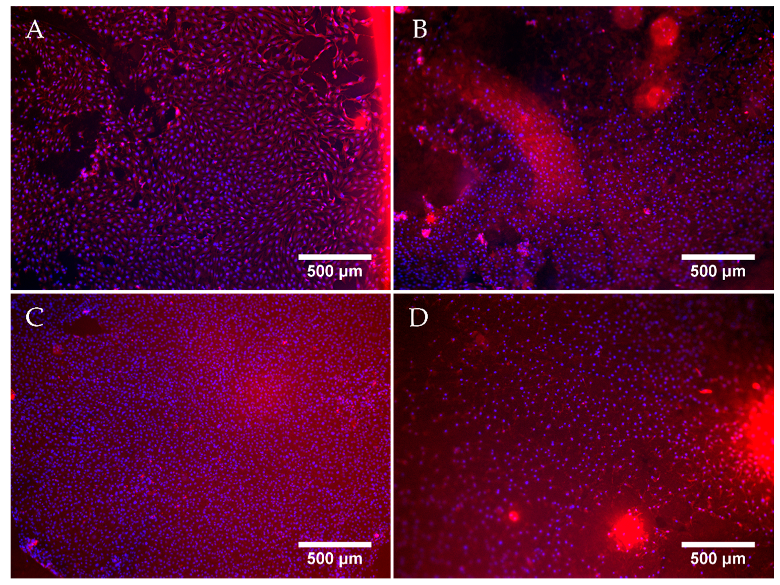 Jfb 12 00057 g007 Jfb 12 00057 g007