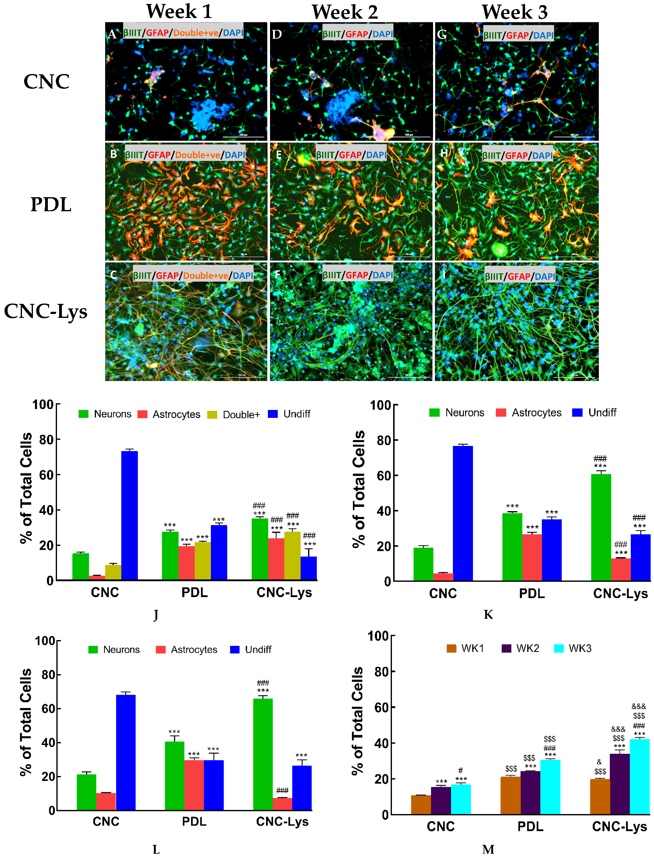 Jfb 12 00064 g003 Jfb 12 00064 g003