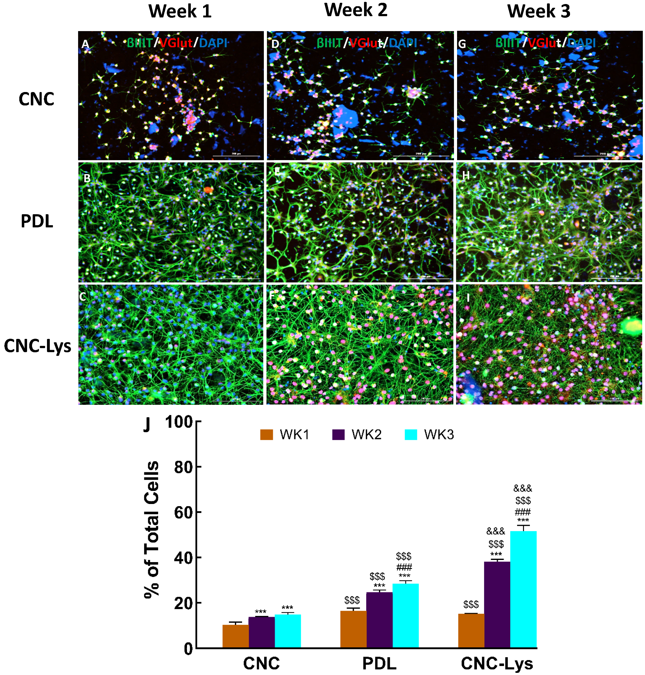 Jfb 12 00064 g004 Jfb 12 00064 g004