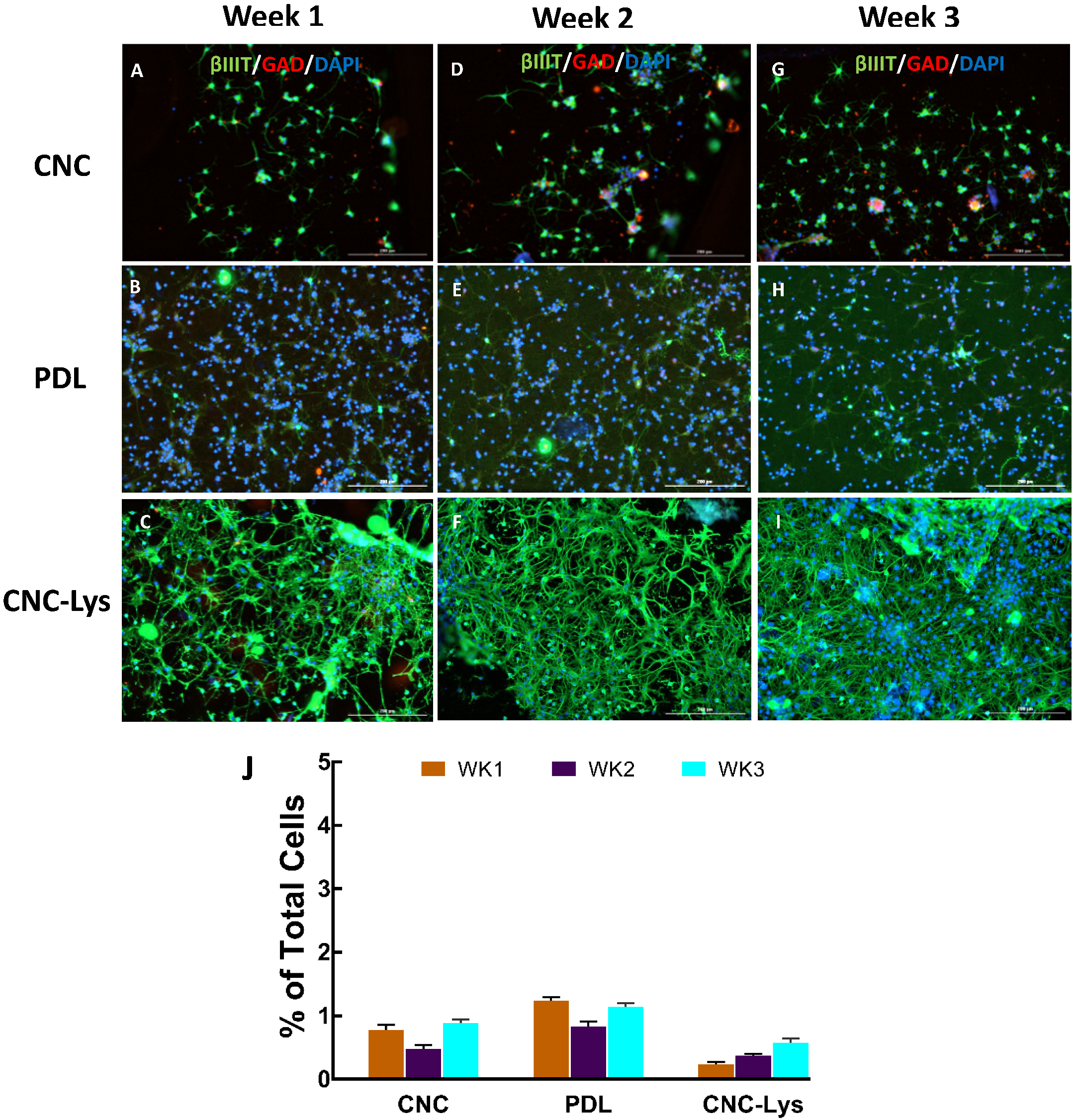 Jfb 12 00064 g005 Jfb 12 00064 g005