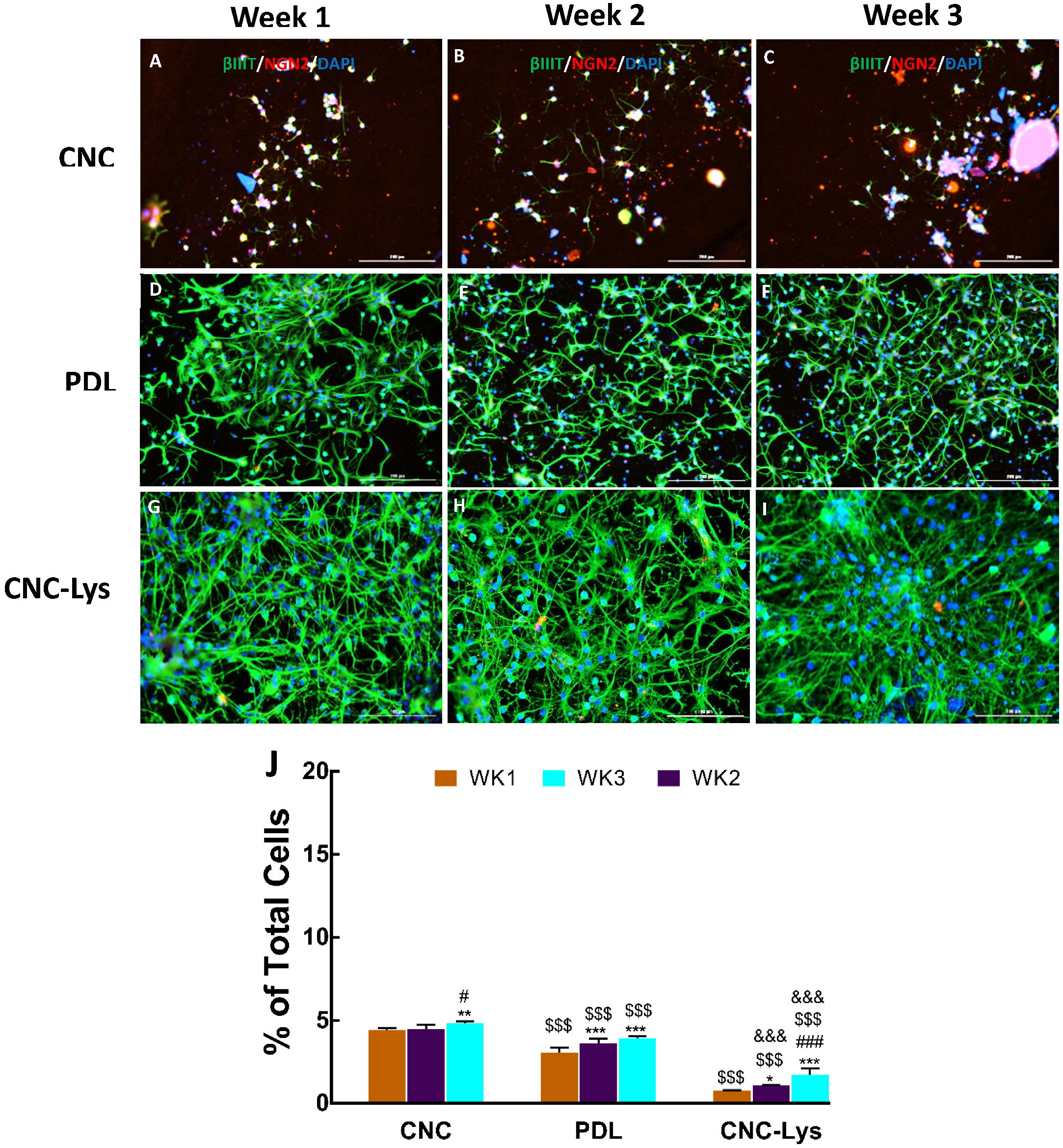 Jfb 12 00064 g006 Jfb 12 00064 g006