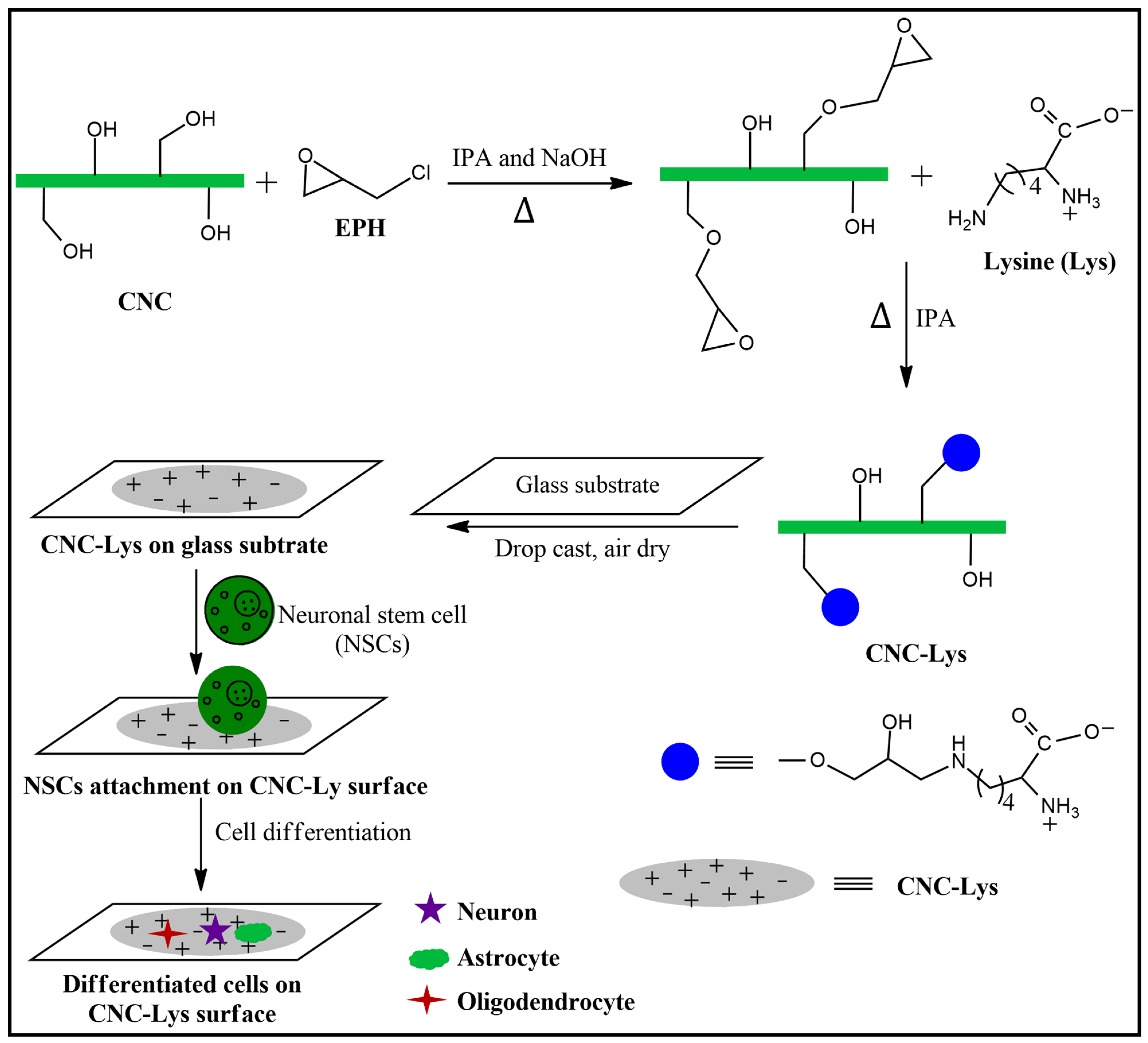 Jfb 12 00064 g008 Jfb 12 00064 g008