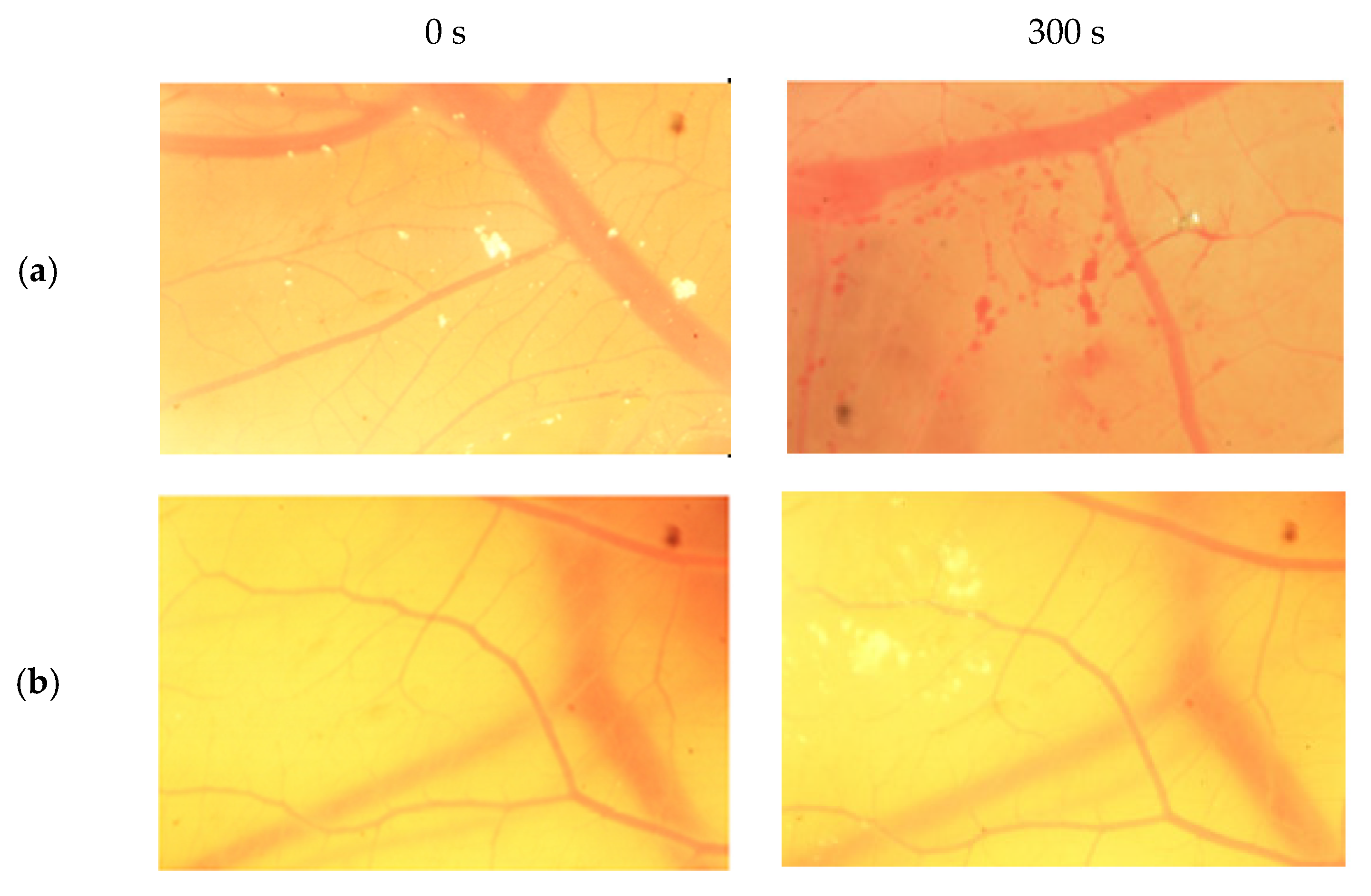 Jfb 13 00003 g004a Jfb 13 00003 g004a