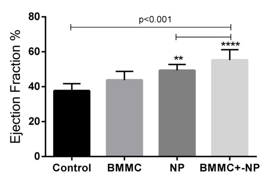 Jfb 13 00059 g004 550