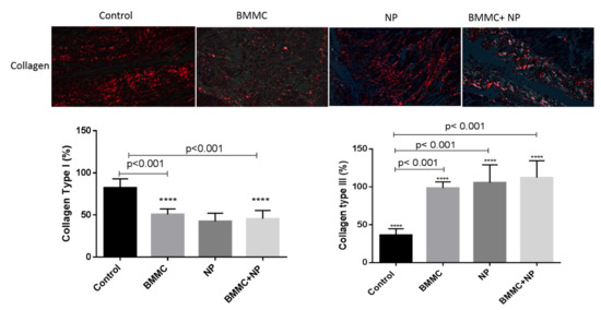 Jfb 13 00059 g006 550