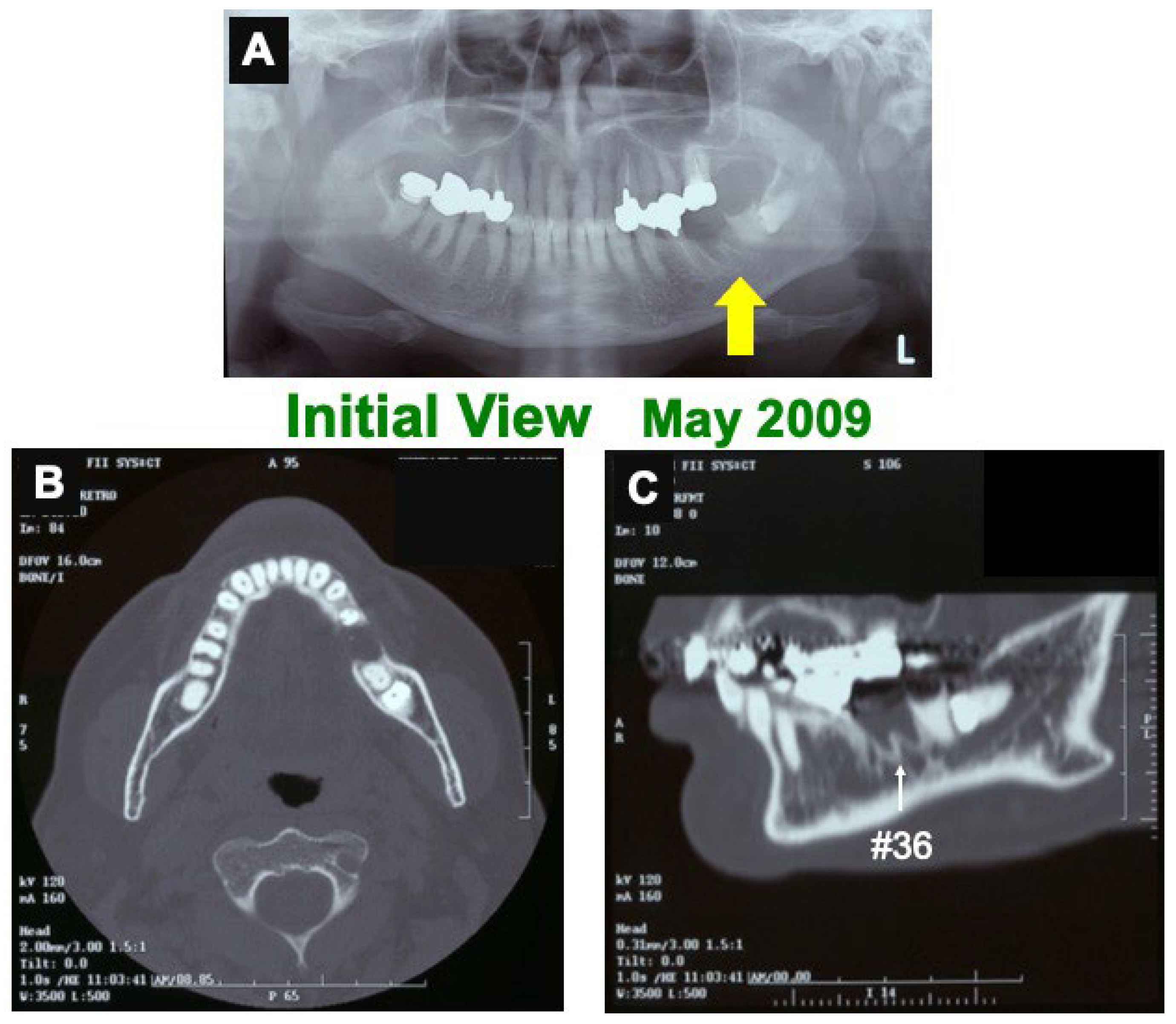 Jfb 13 00066 g001 Jfb 13 00066 g001