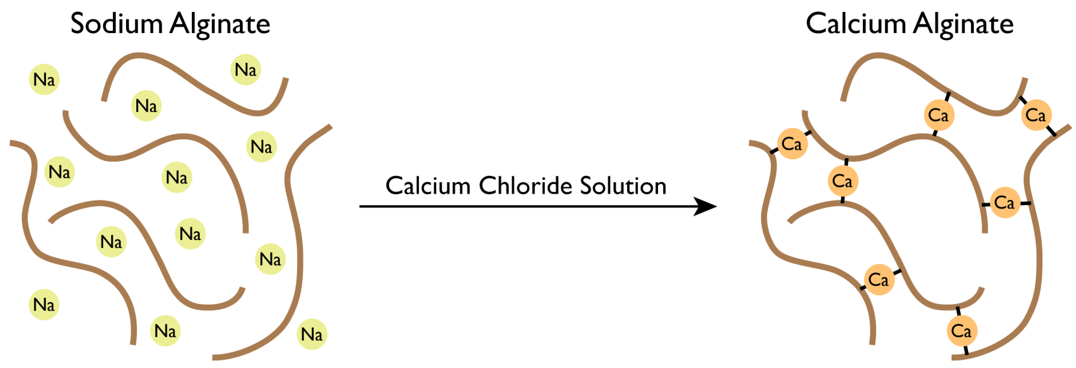 Jfb 13 00117 g004 Jfb 13 00117 g004