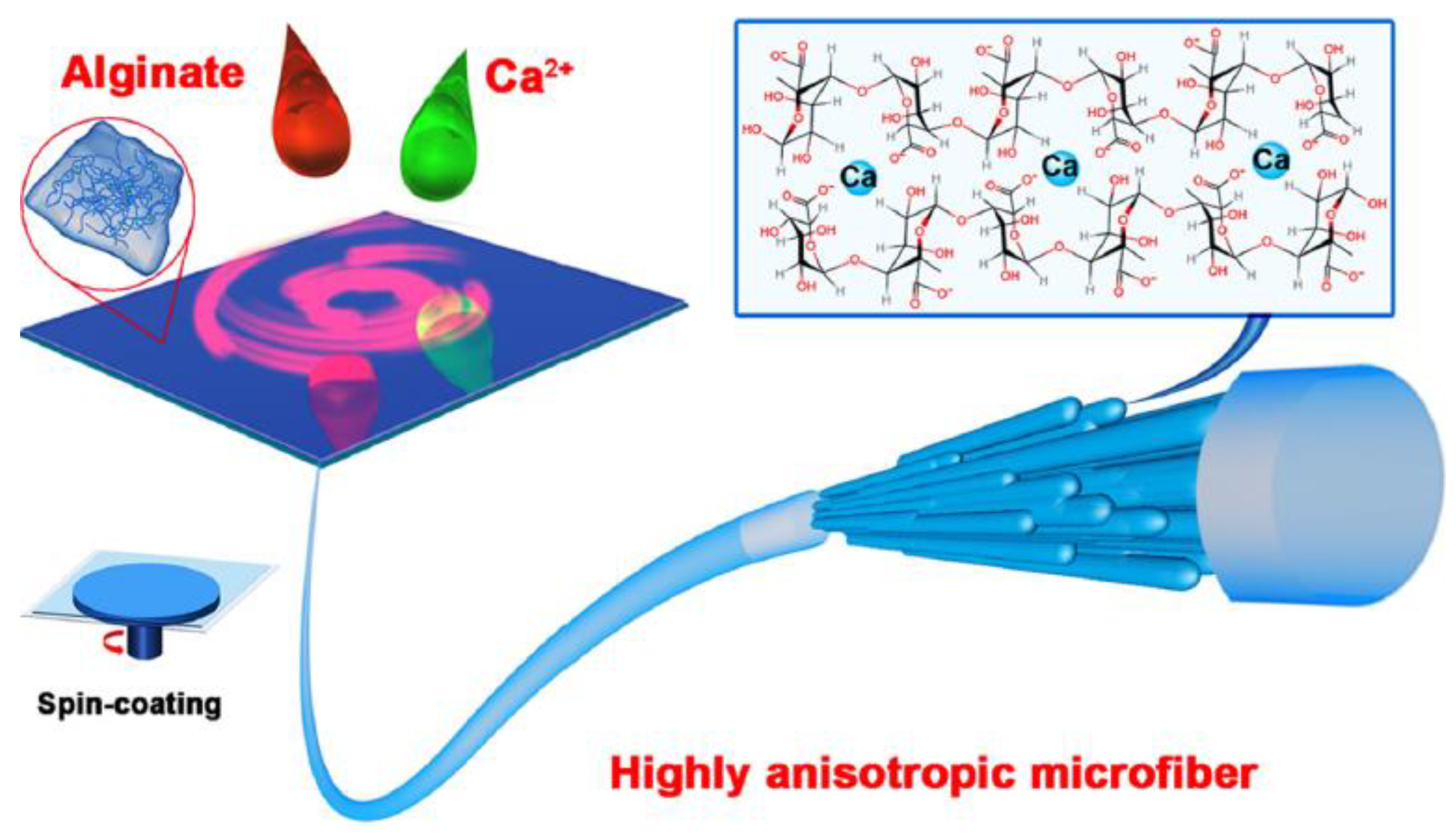 Jfb 13 00117 g013 Jfb 13 00117 g013