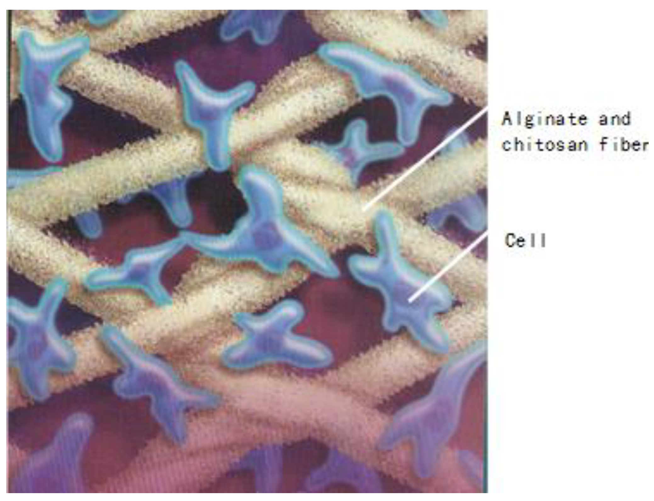 Jfb 13 00117 g016 Jfb 13 00117 g016