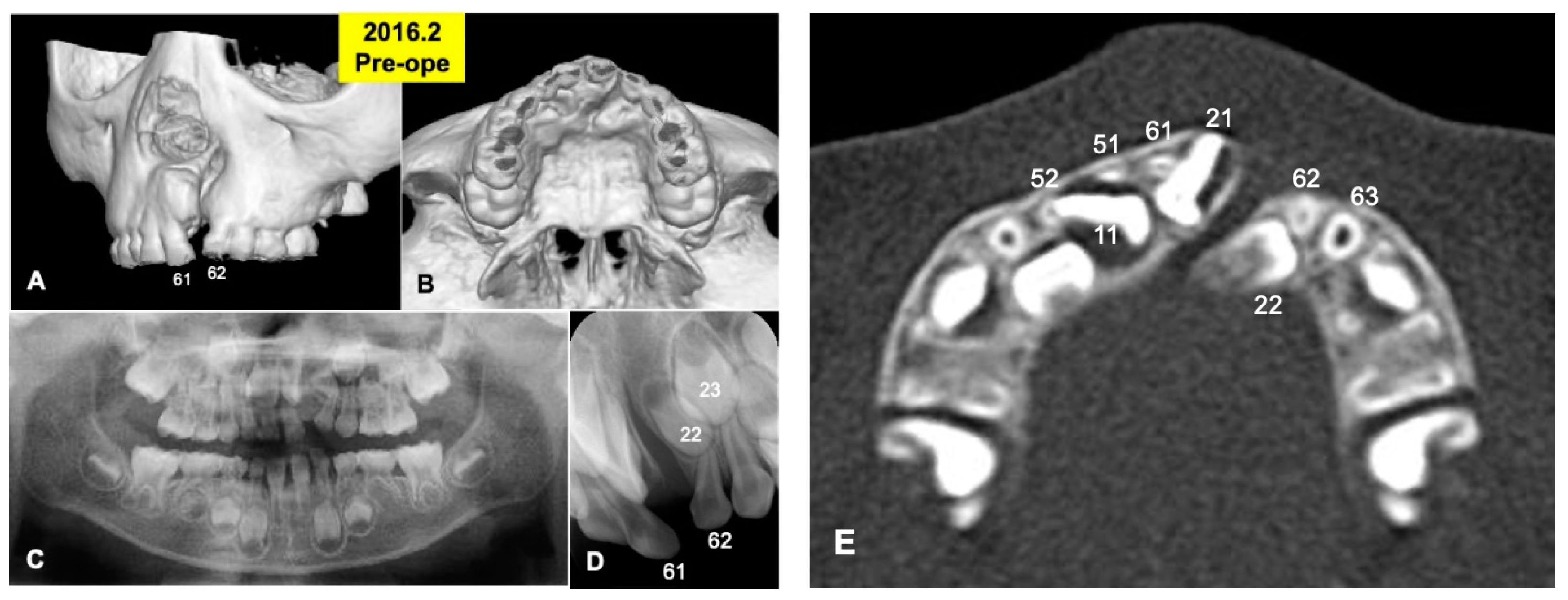 Jfb 13 00153 g001 Jfb 13 00153 g001