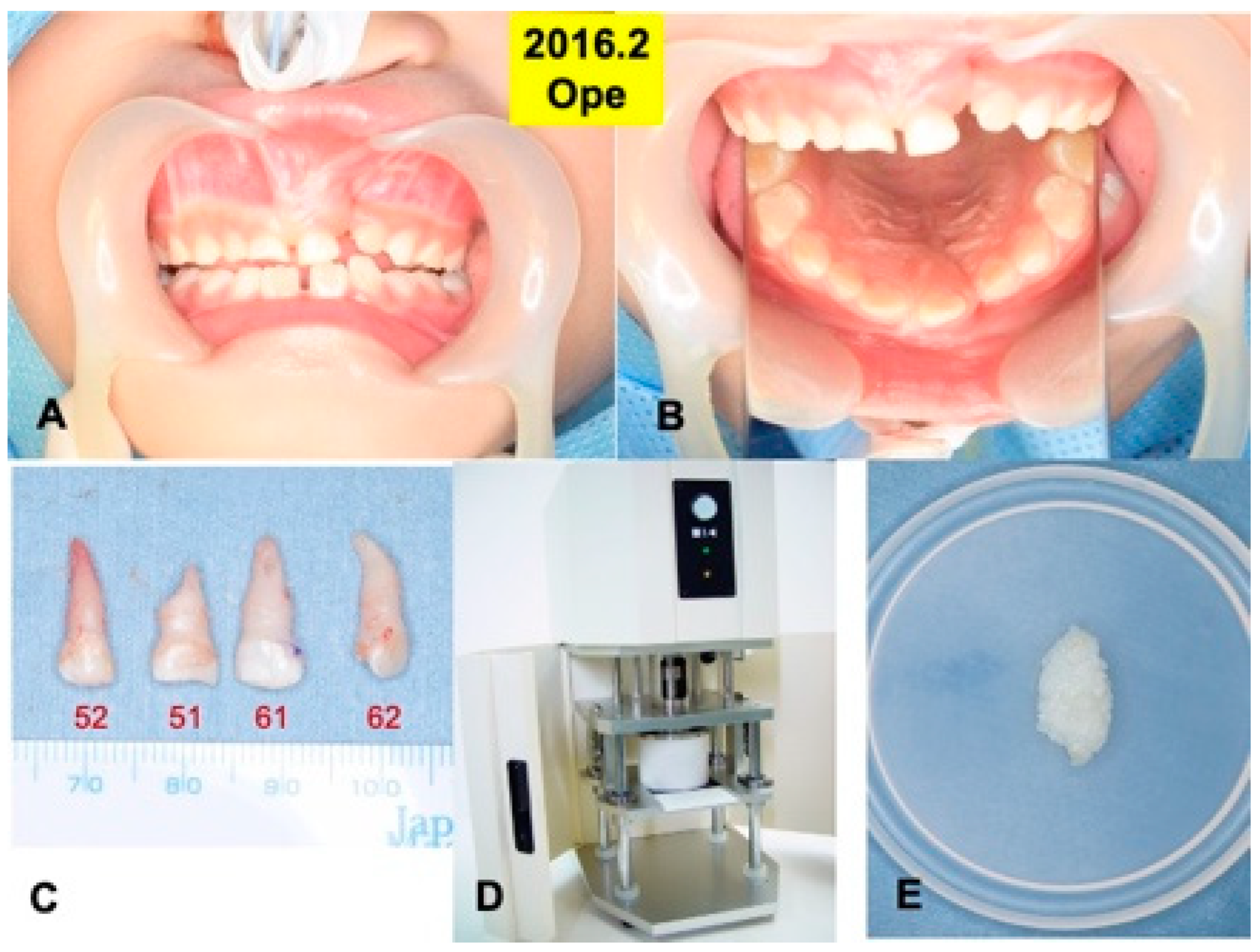 Jfb 13 00153 g002 Jfb 13 00153 g002