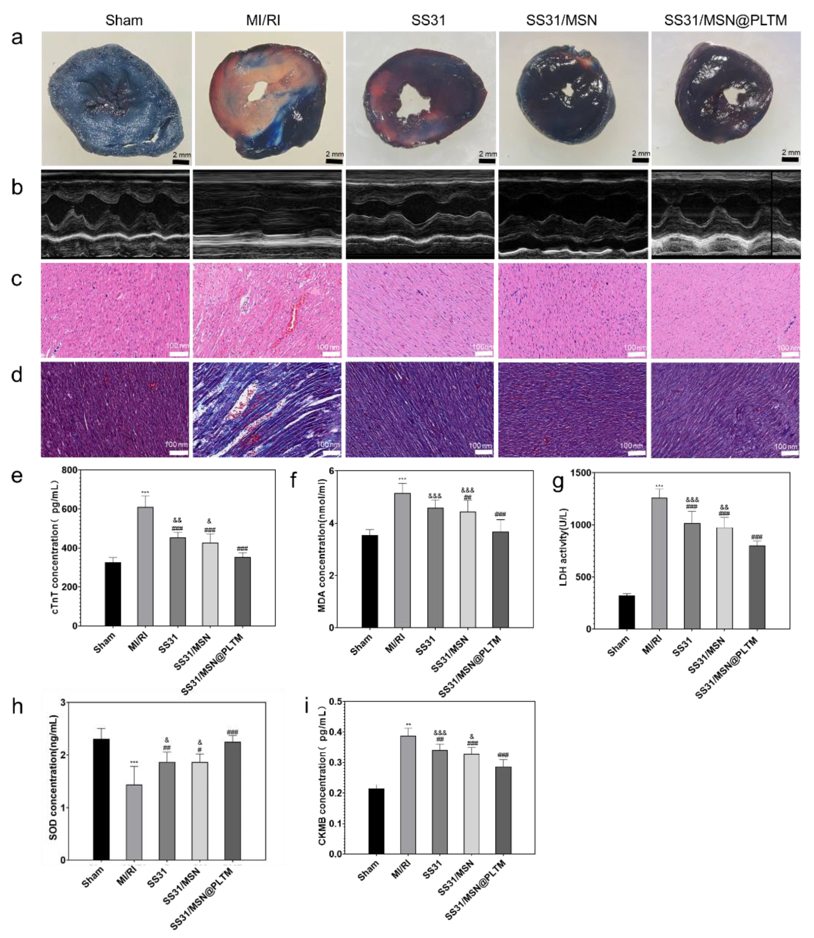 Jfb 13 00181 g005 Jfb 13 00181 g005