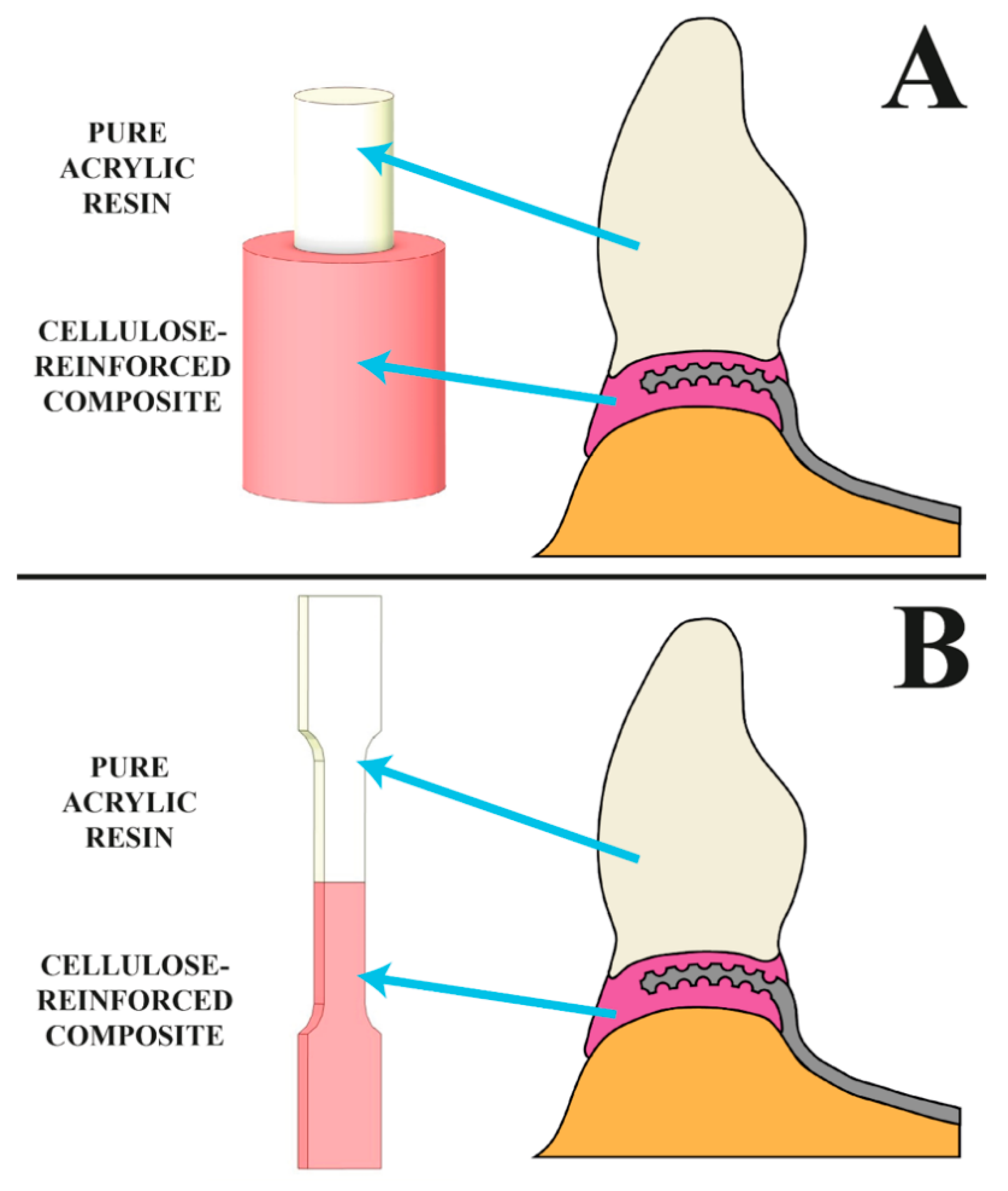 Jfb 13 00183 g001 Jfb 13 00183 g001