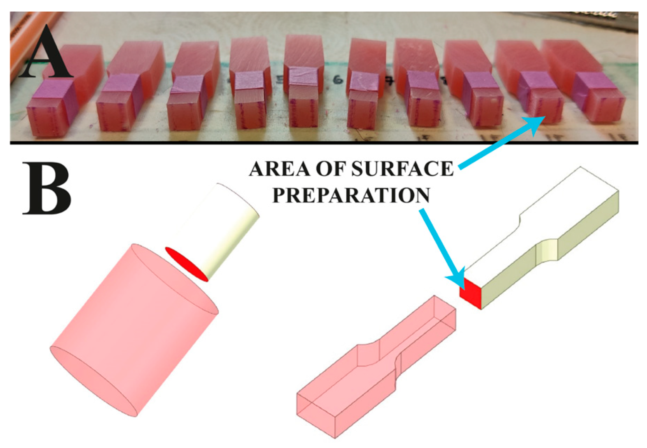 Jfb 13 00183 g002 Jfb 13 00183 g002