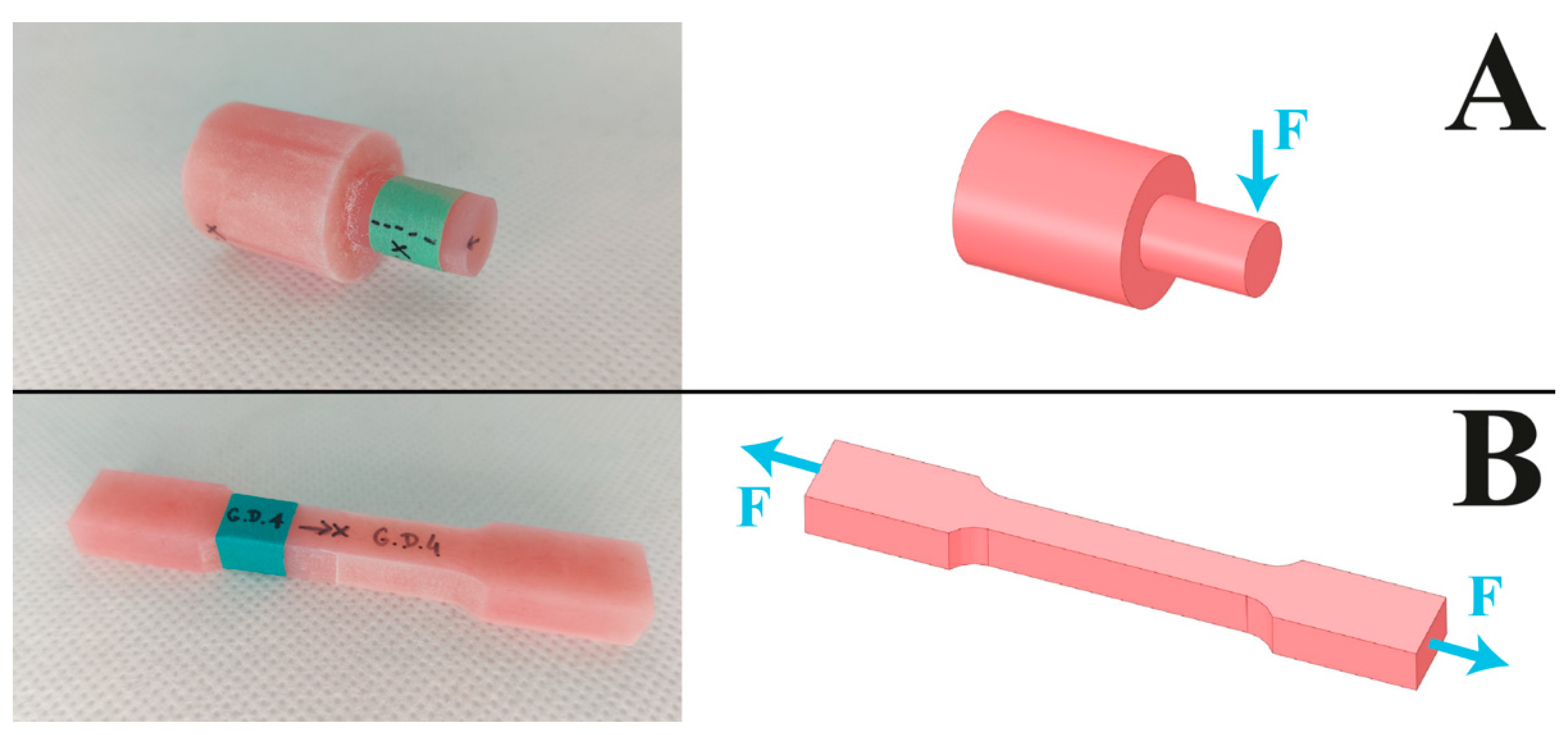 Jfb 13 00183 g003 Jfb 13 00183 g003