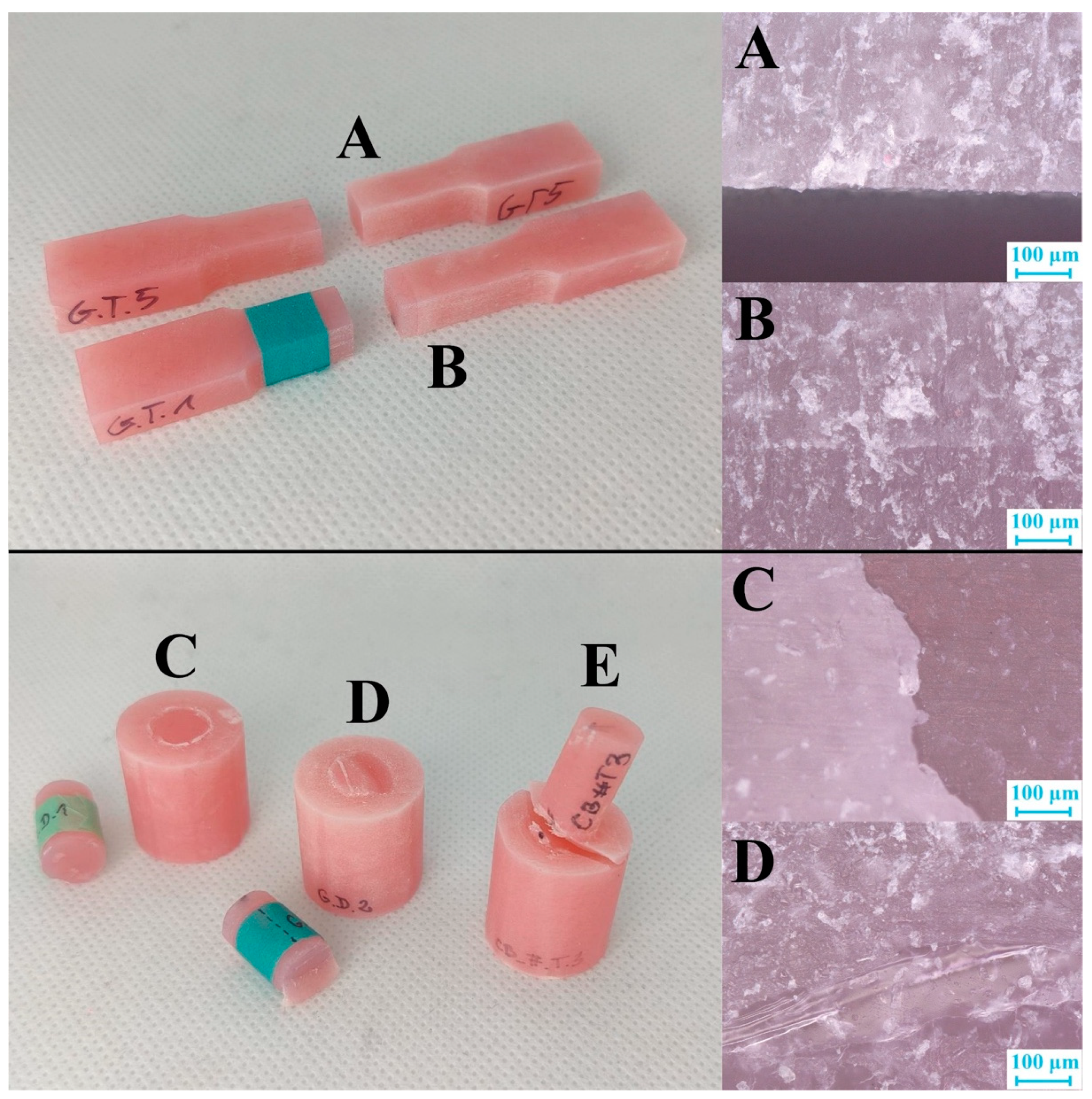 Jfb 13 00183 g010 Jfb 13 00183 g010