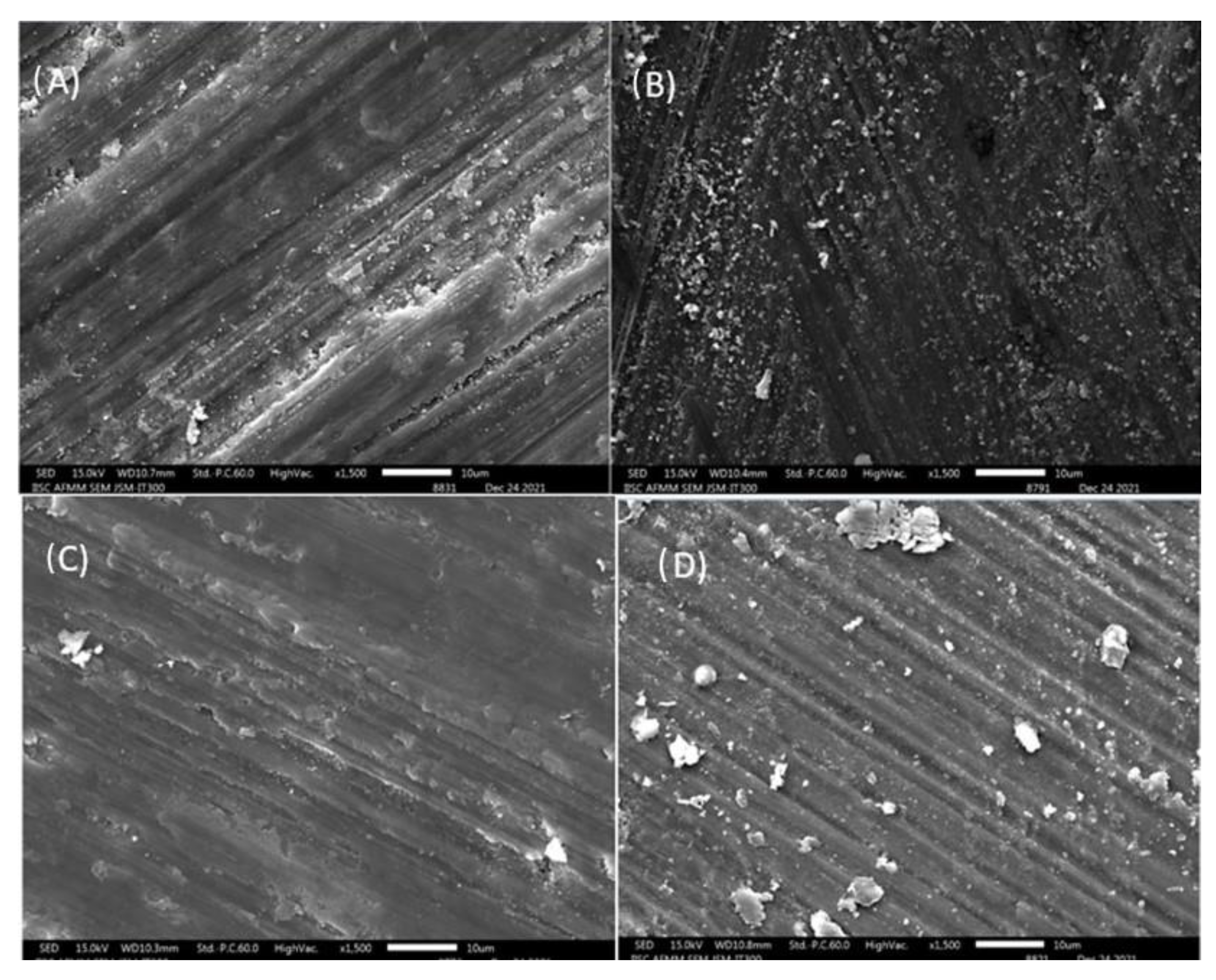 Jfb 13 00197 g005 Jfb 13 00197 g005