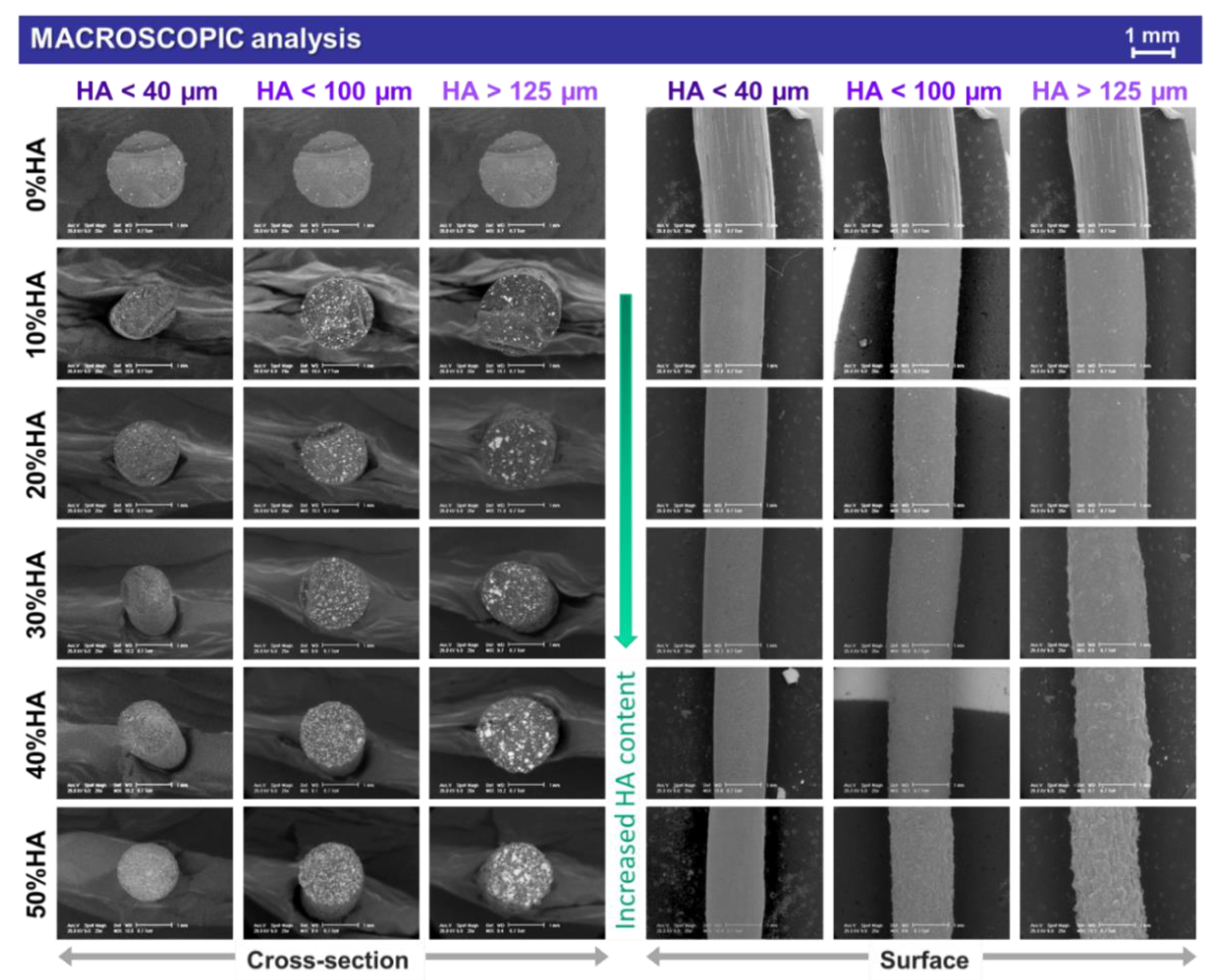 Jfb 13 00199 g001 Jfb 13 00199 g001