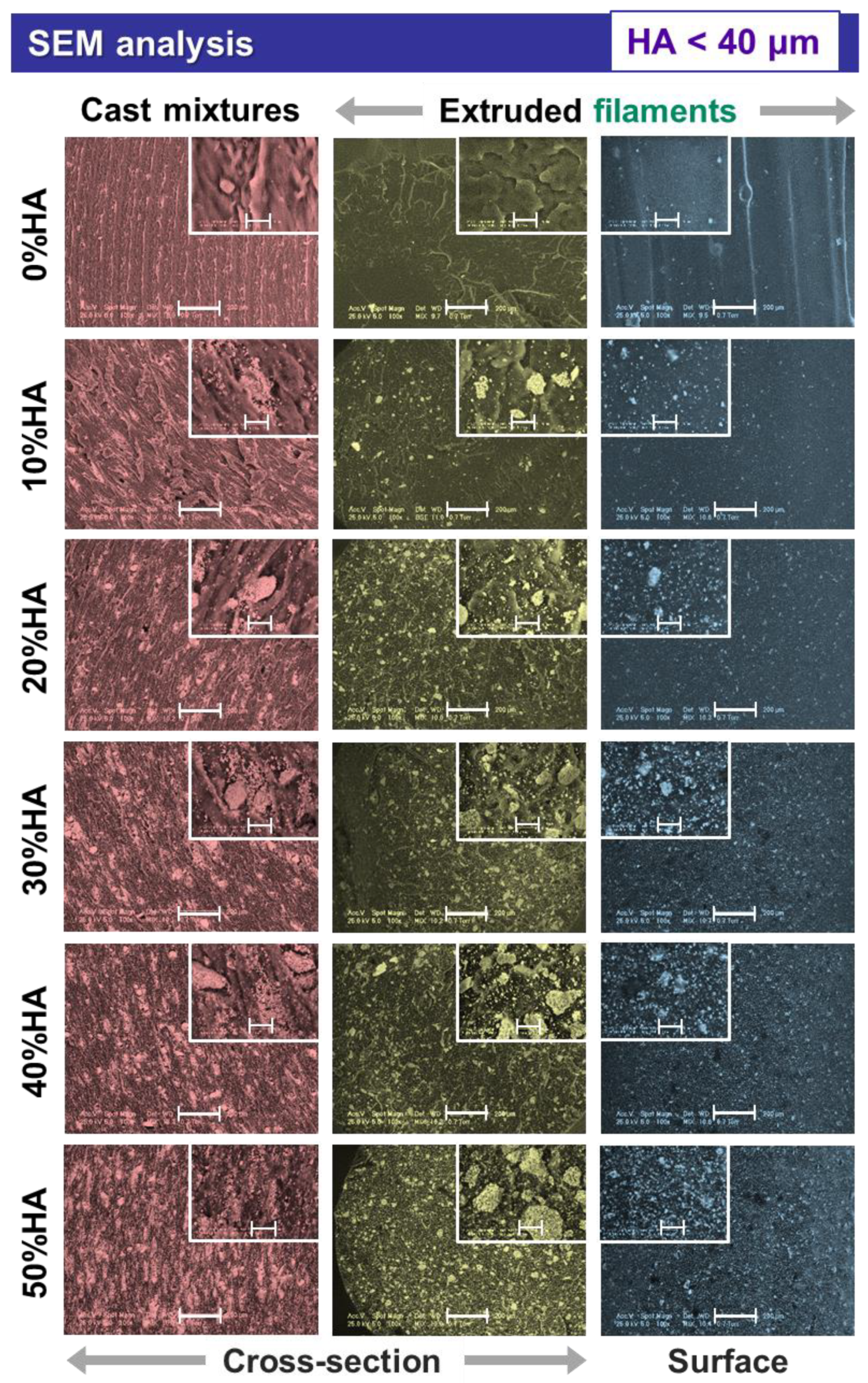 Jfb 13 00199 g002 Jfb 13 00199 g002