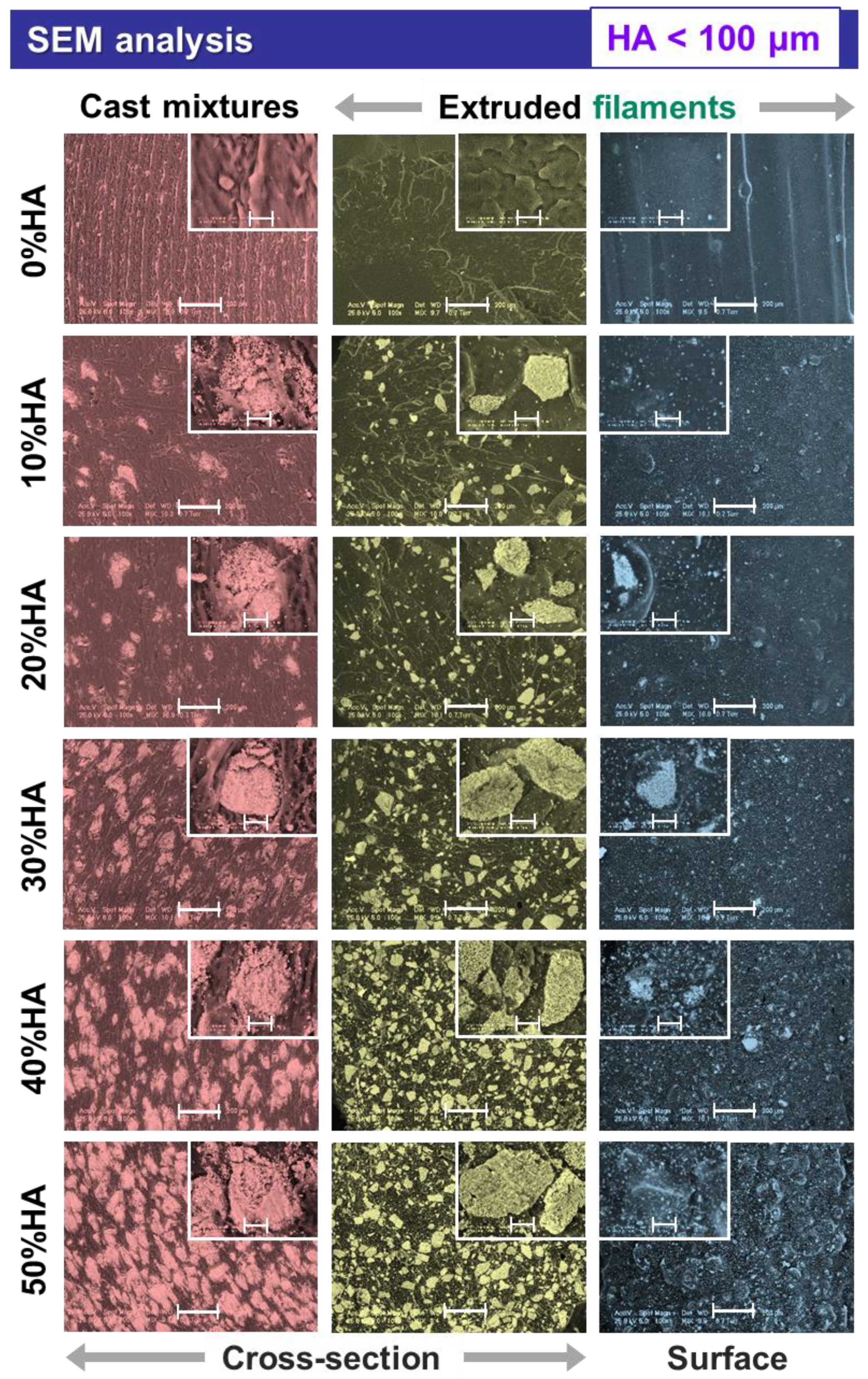 Jfb 13 00199 g003 Jfb 13 00199 g003